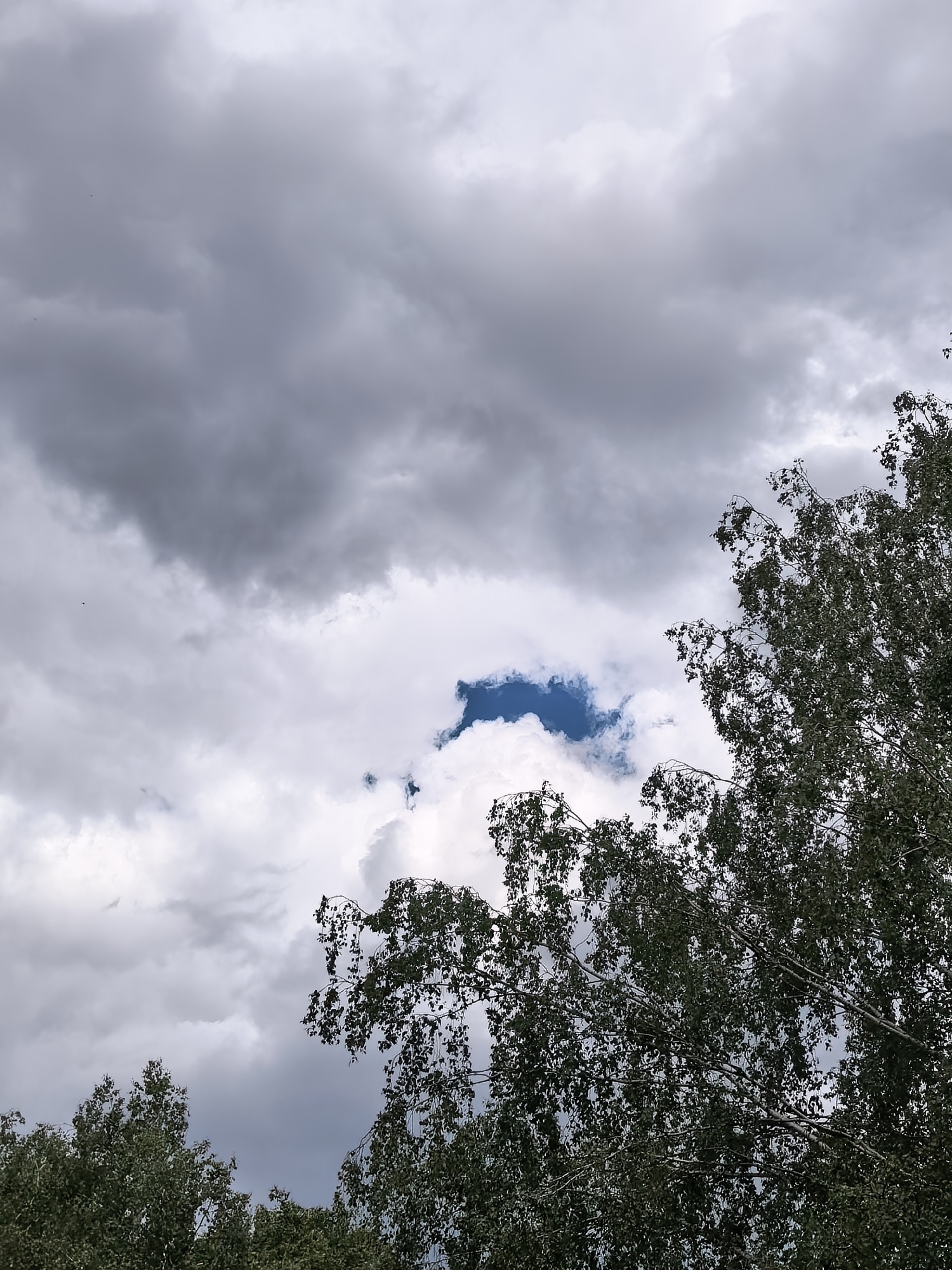 The image shows a partly cloudy sky with trees in the foreground. The sky is predominantly grey with some white clouds and a small patch of blue visible. The trees are green and appear to be swaying slightly. The location is Sterlitamak, Russia.