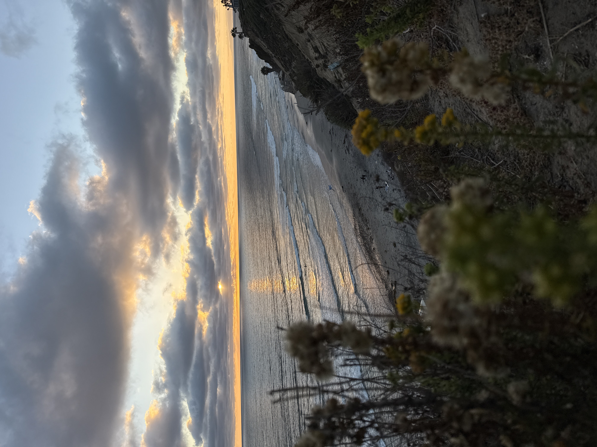 The image captures a scenic view of the Pacific Ocean at sunset from a clifftop in Encinitas, California. In the foreground, out-of-focus dried grasses and wildflowers are visible. The midground shows a sandy beach with a few people scattered along it, and gentle waves rolling in from the ocean. The ocean itself reflects the warm hues of the setting sun, creating a shimmering path of light. A dramatic sky filled with clouds, tinged with orange and yellow, dominates the background. The coastline curves away to the right, revealing a steep, vegetated cliff face with a few palm trees and a building visible at the top. The overall impression is a tranquil and picturesque coastal sunset.