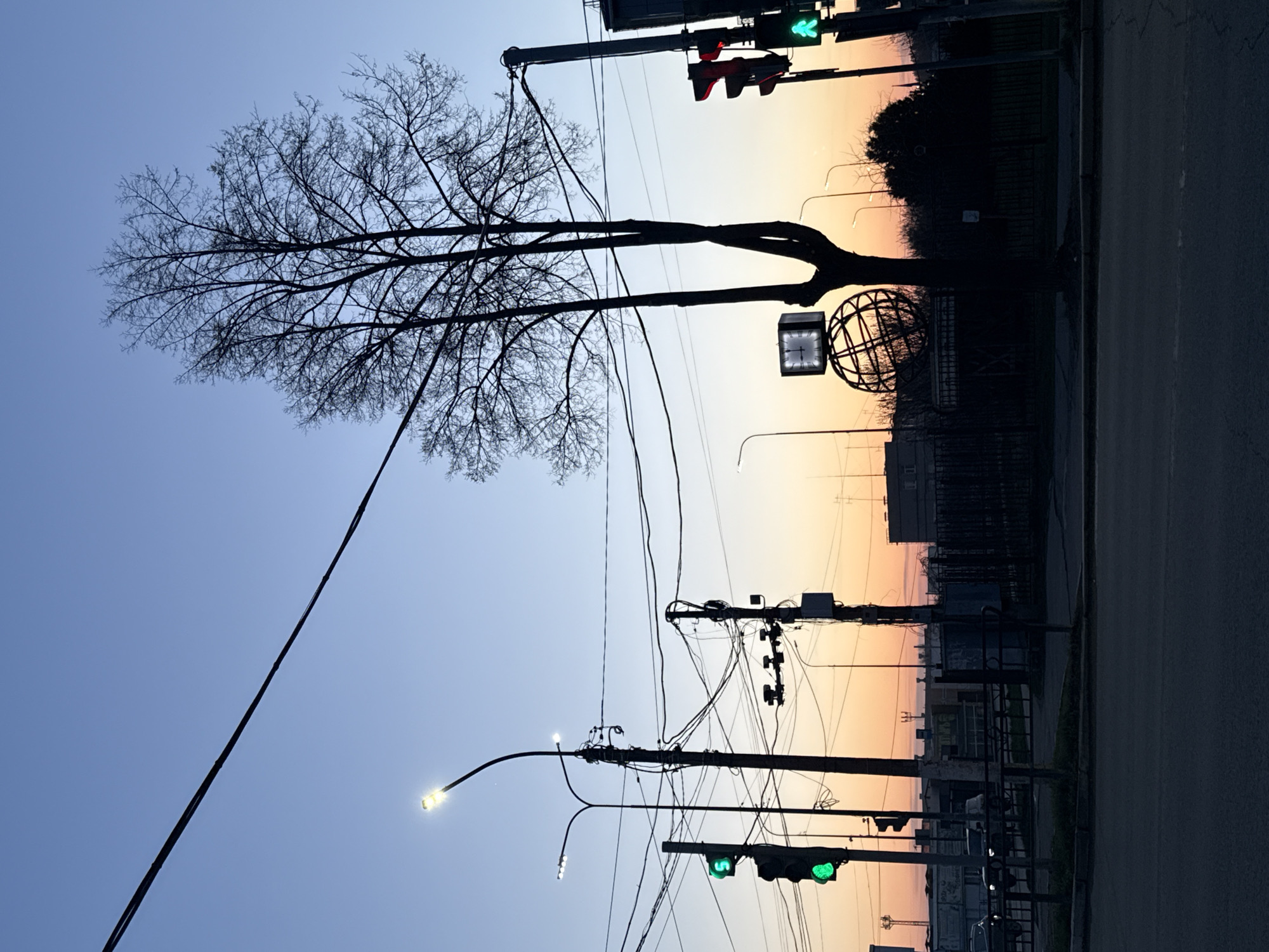 The original image is presented in a portrait orientation but captures a landscape scene, rotated 90 degrees clockwise. It depicts an urban street scene in Chaikovsky, Russia, likely at dawn or dusk, evidenced by the gradient sky and illuminated artificial lights.
The sky transitions from a soft blue on the left to warm orange and pink hues towards the horizon on the right. A large, bare deciduous tree with intricate branches is silhouetted prominently on the left side, stretching across much of the upper sky.
Numerous utility poles and a dense network of overhead wires crisscross the middle ground. Several traffic lights are visible; one set at the upper right displays a green light for straight-ahead traffic and a red light, possibly for a turn. Another green traffic light is visible lower down. Streetlights are active, with one on the left glowing brightly and another in the background also illuminated.
Unique urban furniture includes a square-faced clock with Roman numerals, suspended from a pole, and an ornate, spherical metal sculpture resembling a globe or armillary sphere, both located to the right of the tree's trunk.
In the lower portion of the image, an asphalt road or street is visible, running horizontally, with dark silhouettes of buildings, fences, and possibly parked vehicles in the background. No people are visible, and there is no apparent activity taking place. The scene conveys a quiet, transitional moment of the day. No explicit text is clearly legible, apart from the Roman numerals on the clock face.