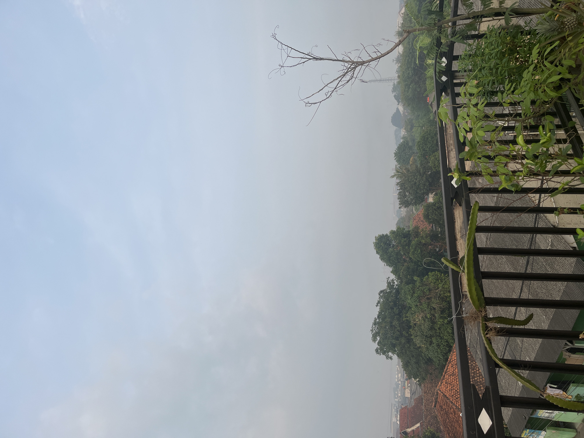 The image captures a view from a balcony overlooking a residential area. In the foreground, a black metal railing supports several plants, including a dragon fruit plant with its segmented stems and a few other leafy green plants. A dry, bare tree branch with curly twigs extends from the right side of the frame, reaching towards the hazy sky.
Beyond the balcony, rooftops of houses with red tiles are visible, interspersed with lush green trees. The environment appears to be a suburban or semi-urban setting, with a layer of haze obscuring the distant buildings and a radio tower. The sky is overcast with soft, pale blue and grey clouds, suggesting an early morning or a misty day. There are no people or visible human activity in the frame. The overall scene depicts a peaceful, tranquil view of a neighborhood under a subdued sky. The image was likely taken in Pasir Gadung, Indonesia, as indicated by the architectural style of the houses and the vegetation.