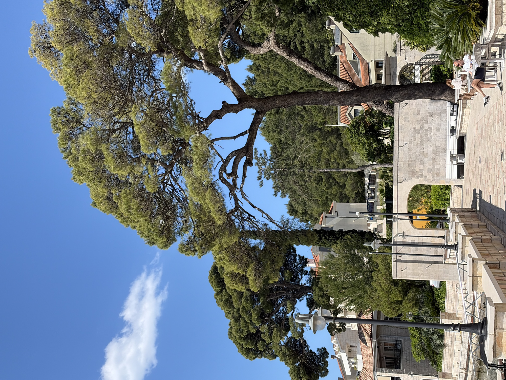 The image shows a partially obscured view of Meljine, Montenegro, under a bright blue sky with scattered clouds. A large tree with dense green foliage dominates the left side of the frame. Its branches extend towards buildings with red-tiled roofs and light-colored facades. A stone pathway lined with street lamps and brick walls leads towards a seating area where two people are sitting at a table. Other trees and greenery are visible in the background.