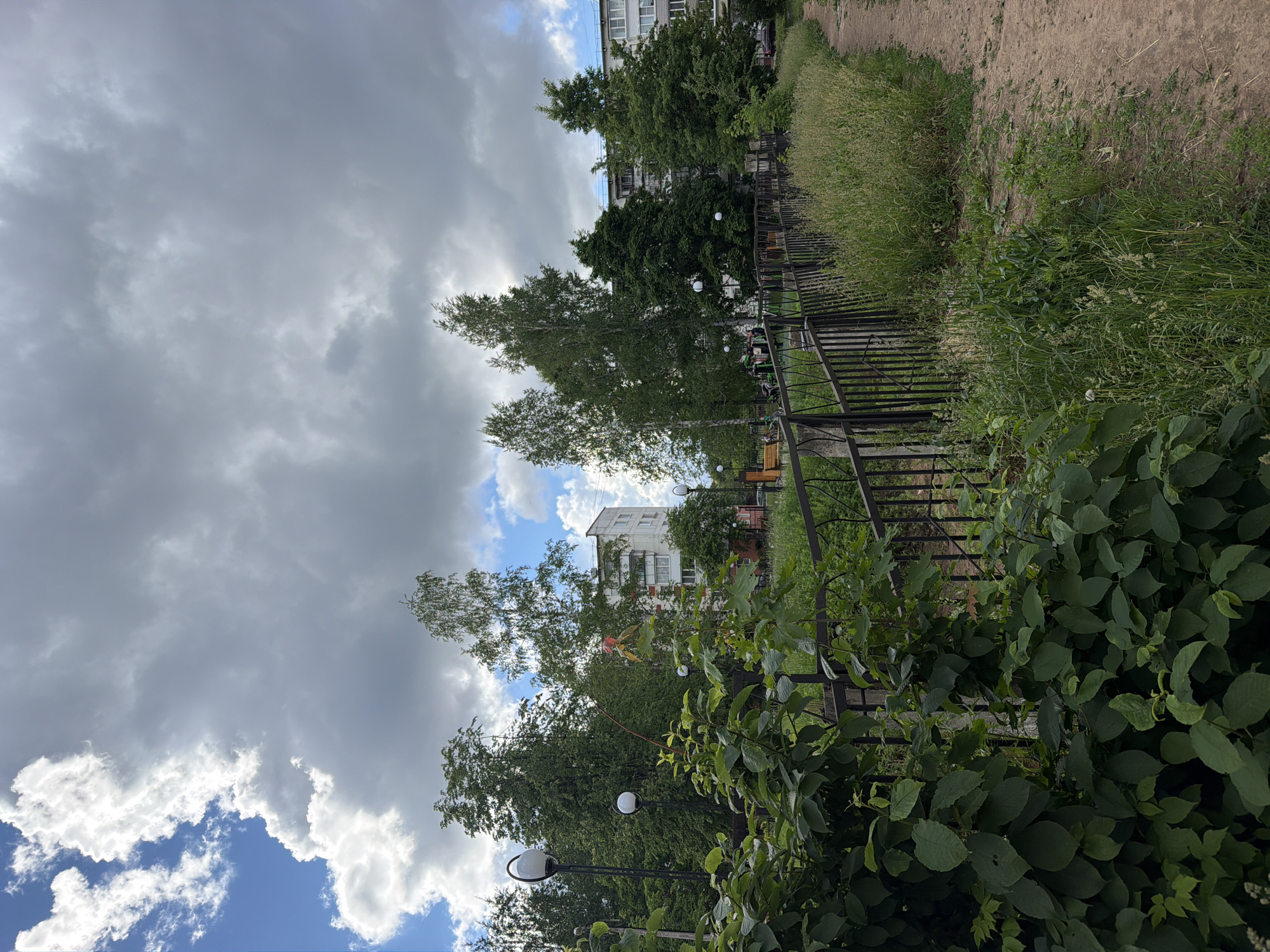 This outdoor scene captures a residential area in Chaikovsky, Russia, under a dynamic, partly cloudy sky during daylight hours. The image is oriented vertically (originally rotated 90 degrees clockwise), showing a landscape format when viewed upright.
The sky is a prominent feature, dominated by large, grey, and somewhat heavy clouds that suggest an overcast or changeable weather pattern. However, significant patches of clear blue sky are also visible, particularly towards the lower left and upper right (when upright), interspersed with brighter, fluffier white clouds, indicating breaks in the cloud cover.
In the background, several multi-story apartment buildings, typical of post-Soviet architecture, are partially visible through dense foliage. One building, largely white or light-colored, has numerous windows and balconies. The mid-ground is characterized by a rich variety of trees, including tall, slender birches with their distinctive white bark and other deciduous trees with darker green leaves, forming a green canopy that partially obscures the buildings.
A dark metal fence with a simple design runs through the mid-ground, extending towards the foreground, separating a lush area of overgrown grass and bushes from an unpaved, earthy path or field on the right. The foreground features thick, dark green bushes with large leaves. Several streetlights with spherical white globes on dark poles are visible among the trees and bushes, providing artificial illumination for the area, though they are unlit during the daytime.
No specific human activity or identifiable individuals are present. The scene appears calm and static, typical of a quiet residential street or park path. There is no discernible text or signage visible anywhere in the image. The time of day appears to be mid-day or afternoon, with diffused natural light illuminating the scene.