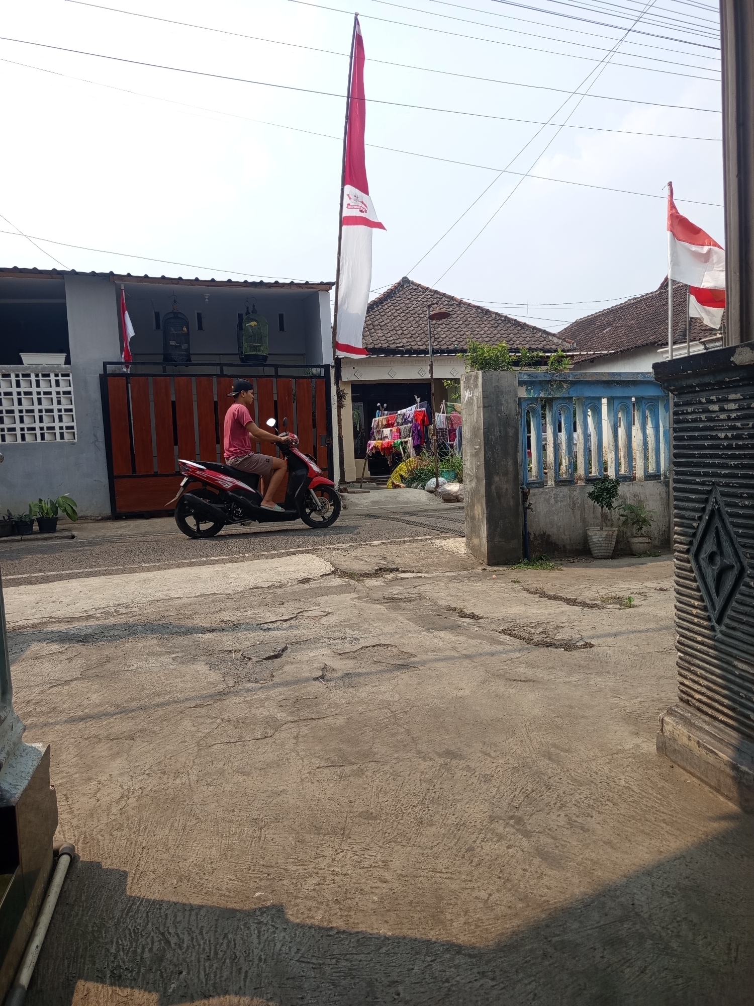 A man wearing a pink t-shirt and brown shorts rides a red scooter on a paved road in front of residential buildings in the city of Malang, Indonesia. The man has a black baseball cap on and is looking forward. There are two Indonesian flags displayed on poles outside the buildings. One is a tall, narrow flag with a red top and white bottom, and the other is a smaller, wider flag with red and white horizontal stripes. Birdcages hang from the eaves of the buildings. Laundry is hanging on a clothesline to dry in the background. The buildings have tiled roofs and a fence made of concrete and blue painted wood. The ground is paved with concrete, which appears cracked and worn in places. The sky is clear and bright, indicating a sunny day.