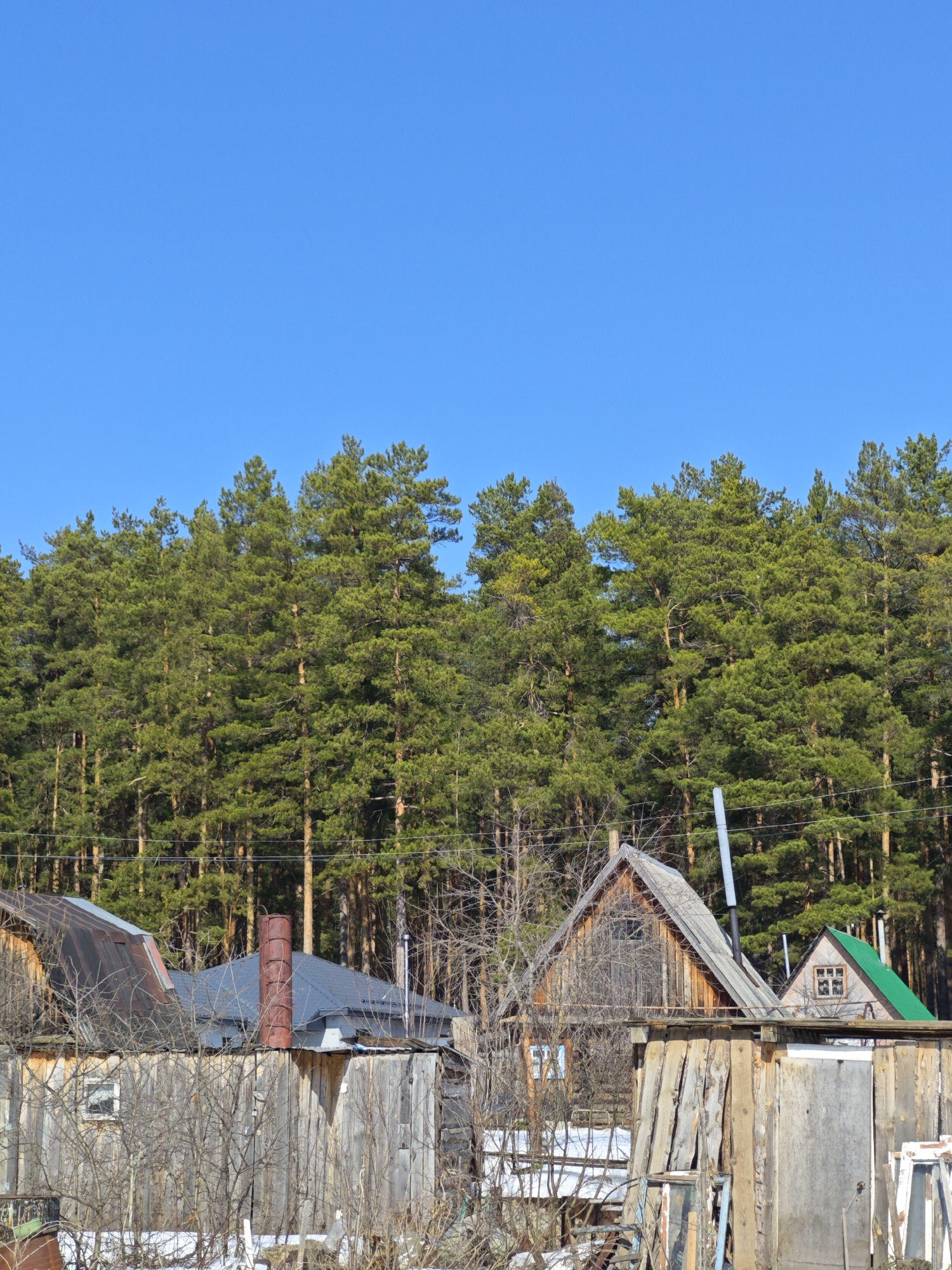 The image shows a rural scene in Noviy, Russia, with dilapidated wooden buildings and a dense forest in the background under a clear blue sky. Several small, weathered wooden structures with various roofing materials, including metal and green shingles, are visible. A mix of wooden fences and haphazardly stacked materials forms a barrier in the foreground. Bare branches and remnants of snow suggest late winter or early spring. A chimney, along with a vertical pipe, is seen extending from one of the buildings. Power lines stretch across the background in front of the forest.