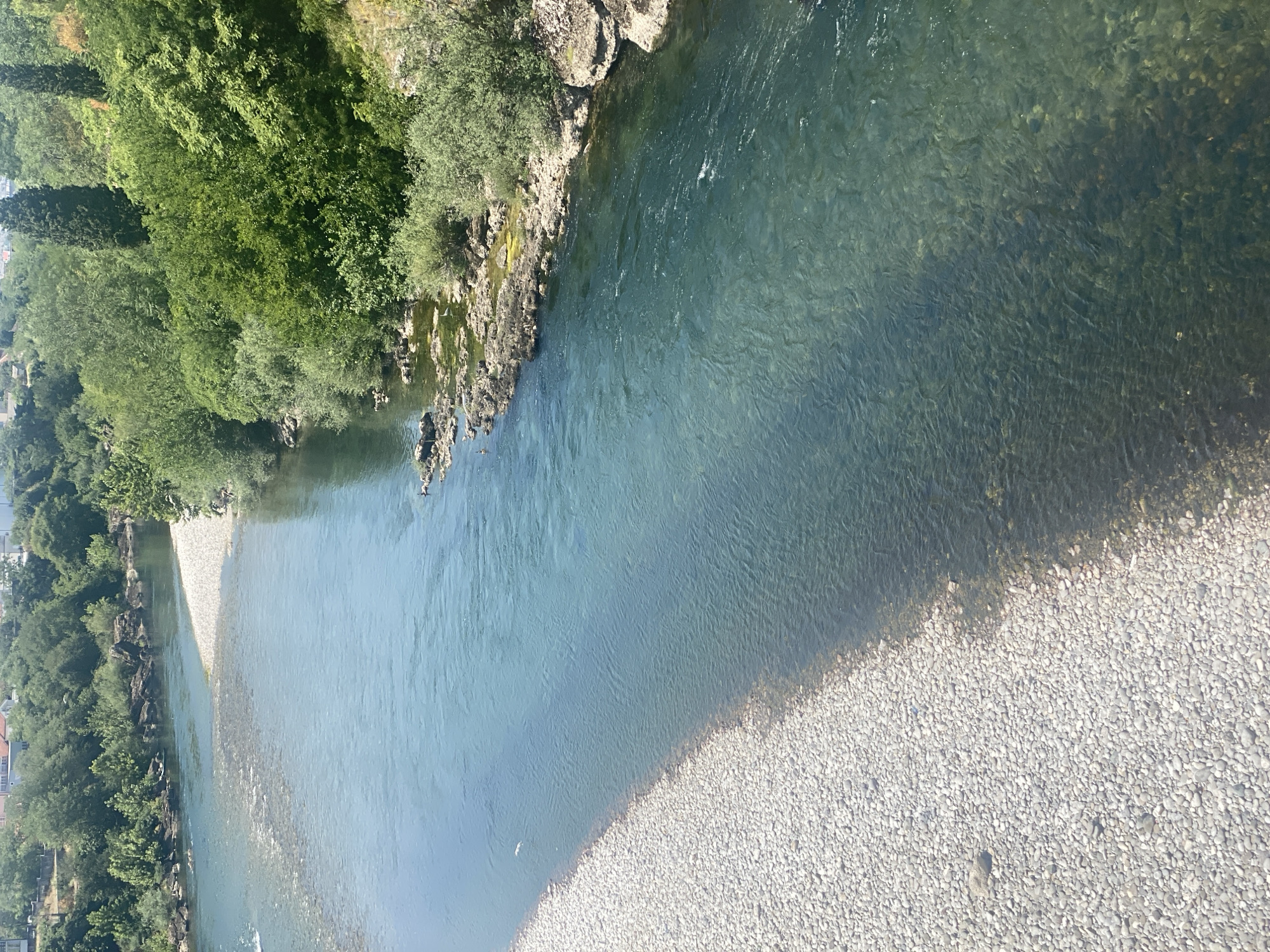 The image shows a wide, clear river flowing through a lush green landscape, with a pebble-strewn bank on the left and a rocky, vegetation-covered bank on the right. The river's surface is calm with gentle ripples, and the water is a translucent blue-green, revealing submerged stones in some areas. In the background, a dense forest with a variety of trees covers the hills, and glimpses of buildings suggest a nearby urban area. The overall scene depicts a serene natural environment within or on the outskirts of Podgorica, Montenegro, likely taken from a bridge or elevated vantage point overlooking the Moraca River. No people or specific actions are visible.
