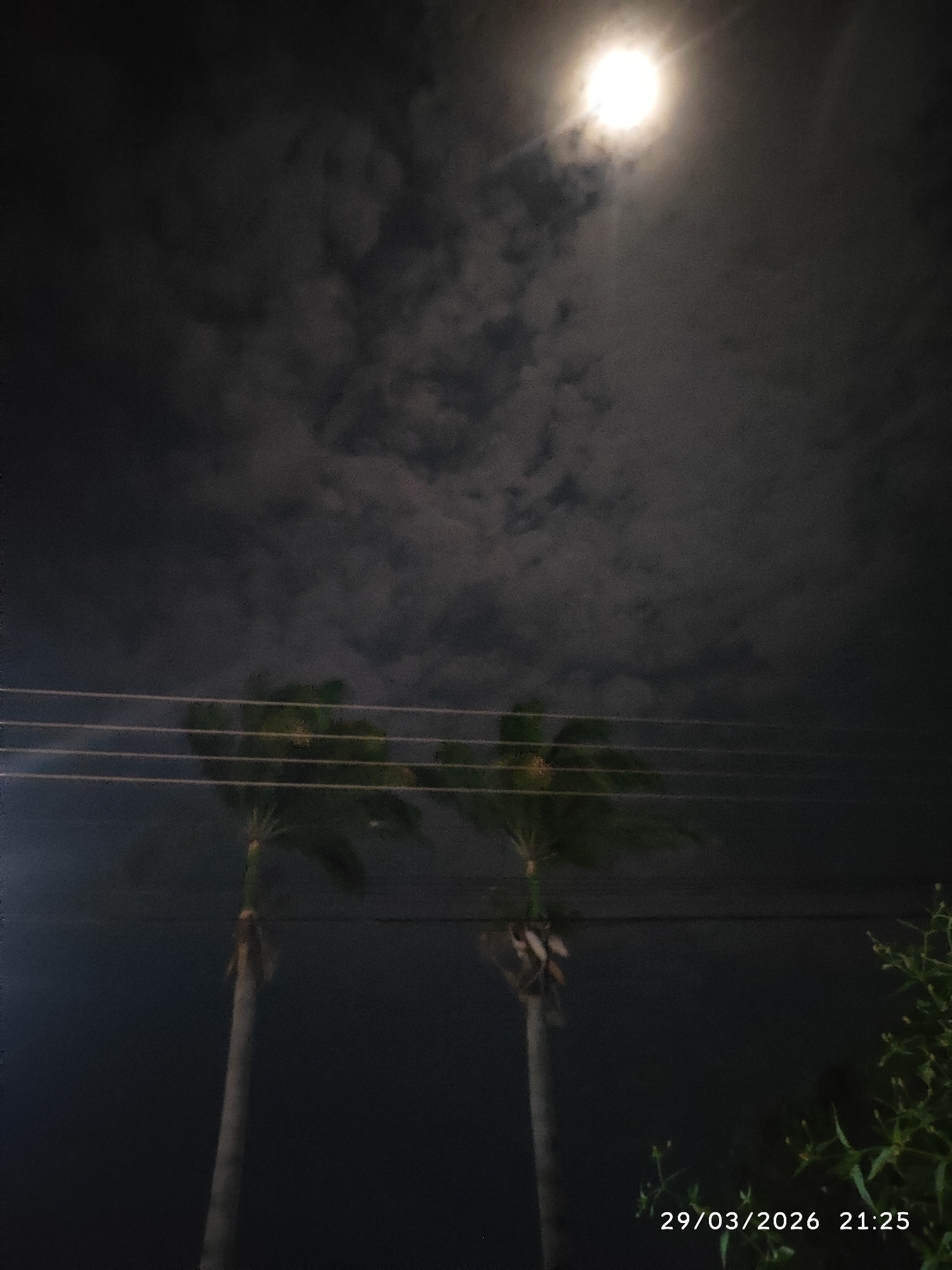 The image depicts a night scene, likely in Tinaquillo, Venezuela, given the presence of palm trees. The sky is dark and cloudy, with a bright full moon visible through a break in the clouds. Two palm trees are prominent in the foreground, their fronds appearing blurred, possibly due to wind. Several electrical wires stretch horizontally across the scene, intersecting the trees. A shrub or other vegetation is visible on the right side of the frame. The date and time "29/03/2026 21:25" are imprinted in the lower right corner. There is no visible human presence or overt activity.