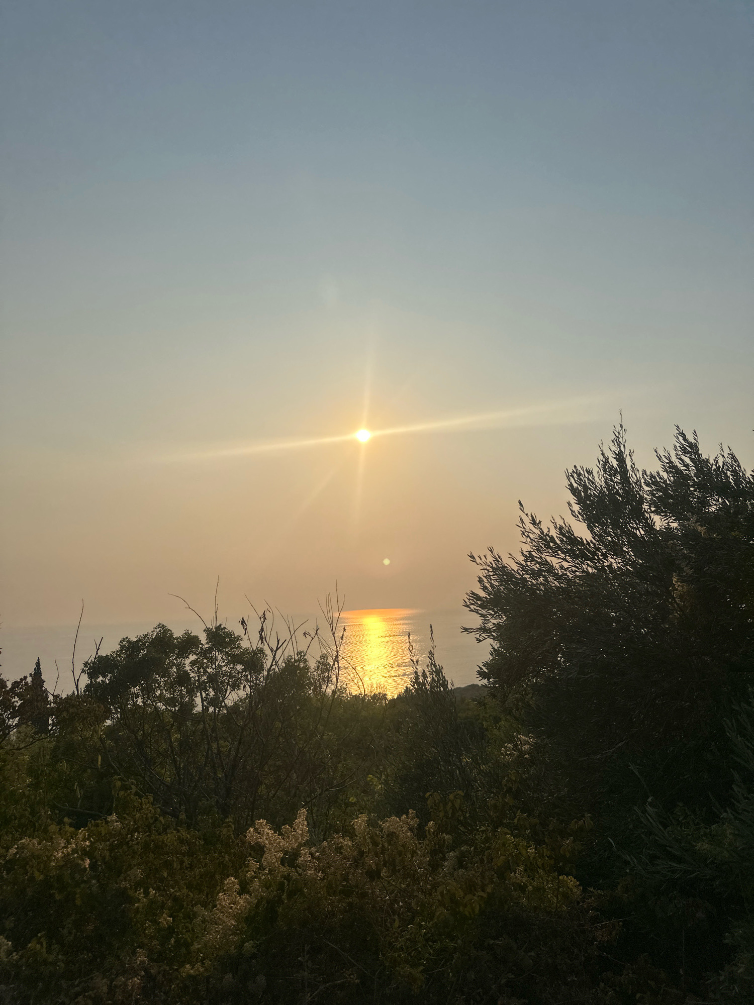 This image depicts a serene sunset over the Adriatic Sea, viewed from a slightly elevated vantage point in Drobnići, Montenegro. The sky transitions from a pale blue at the top to a soft yellow near the horizon, with the sun positioned centrally, casting a brilliant golden glow. A prominent sun flare emanates from the right side of the sun, streaking across the sky.
Below the sky, the calm sea reflects the warm hues of the sunset, creating a shimmering path of light. The foreground is dominated by dense, dark green foliage, likely comprising various shrubs and trees, which partially obscures the view of the water. The vegetation is textured and lush, with some lighter colored, dried flower clusters interspersed among the darker leaves. To the far left, a sliver of a distant coastline or island is visible, silhouetted against the bright sea. The overall atmosphere is tranquil and natural. No people or animals are visible in the frame.