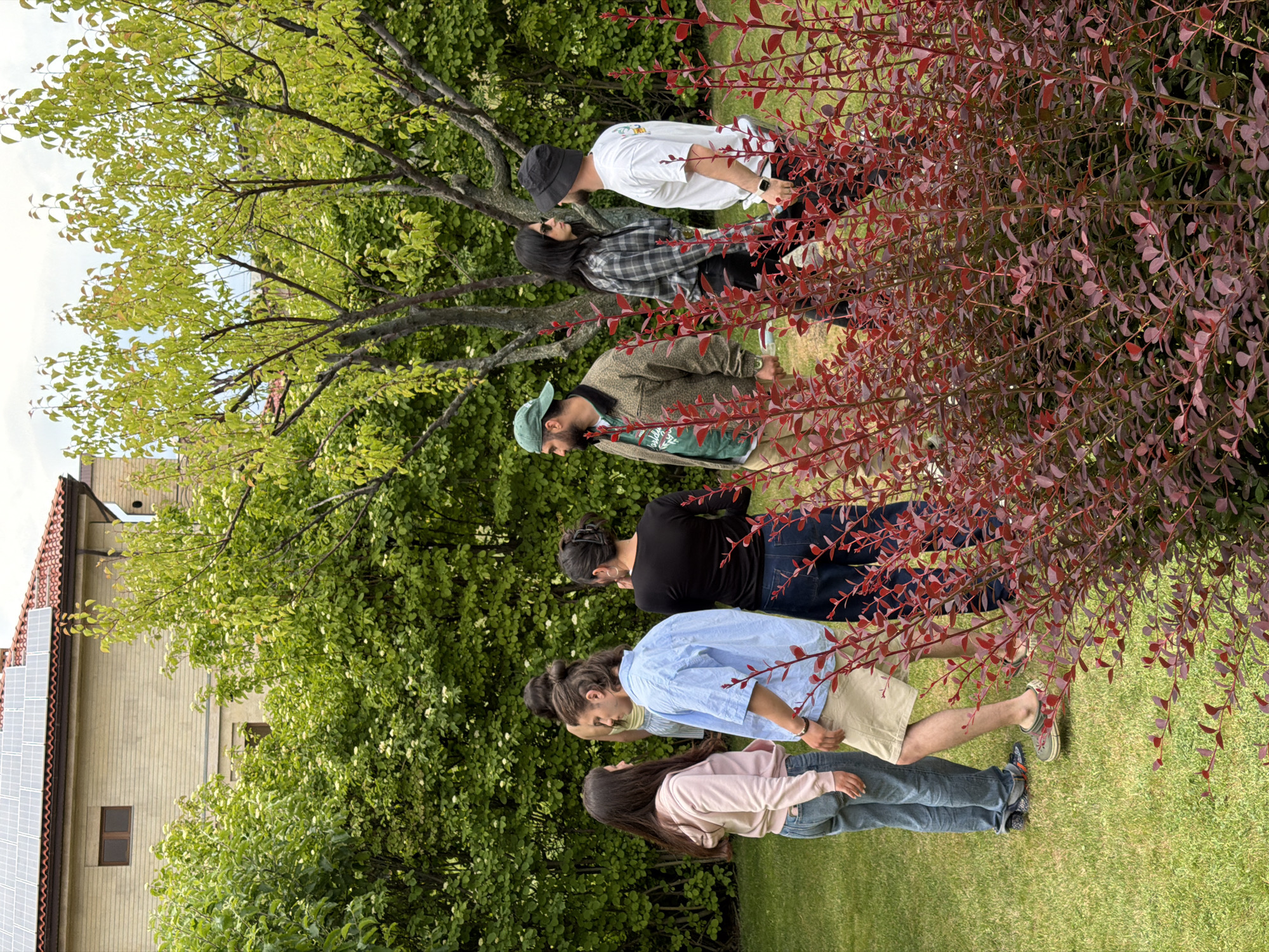 A medium-shot depicts a group of six individuals of varying ages standing outdoors on a grassy lawn in front of a building and trees. The building has solar panels visible on its side. The foreground is marked by a shrub with red leaves partially obscuring the view of some individuals.
The individuals are arranged in a line, facing the same direction, with the furthest person wearing a white shirt and a black hat. They appear to be standing or possibly walking. They are situated in what appears to be Yerevan, Armenia, though the precise location within the city cannot be determined.