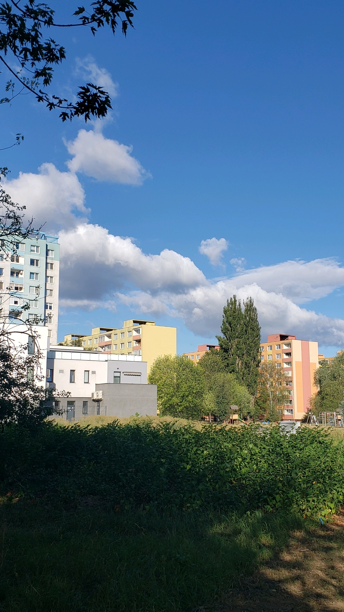 The image depicts a residential area in Prešov, Slovakia, on a clear day with a bright blue sky and scattered white clouds. In the foreground, a dense green hedge and grass cover the lower portion of the frame. Behind the vegetation, a modern grey building with windows and an air conditioning unit is visible. Further back, several multi-story apartment buildings are present. One tall, light blue and white apartment building is on the left. In the center and right, a yellow apartment building and a pink and orange apartment building stand. The buildings are surrounded by numerous green trees. The scene suggests a typical urban residential setting.