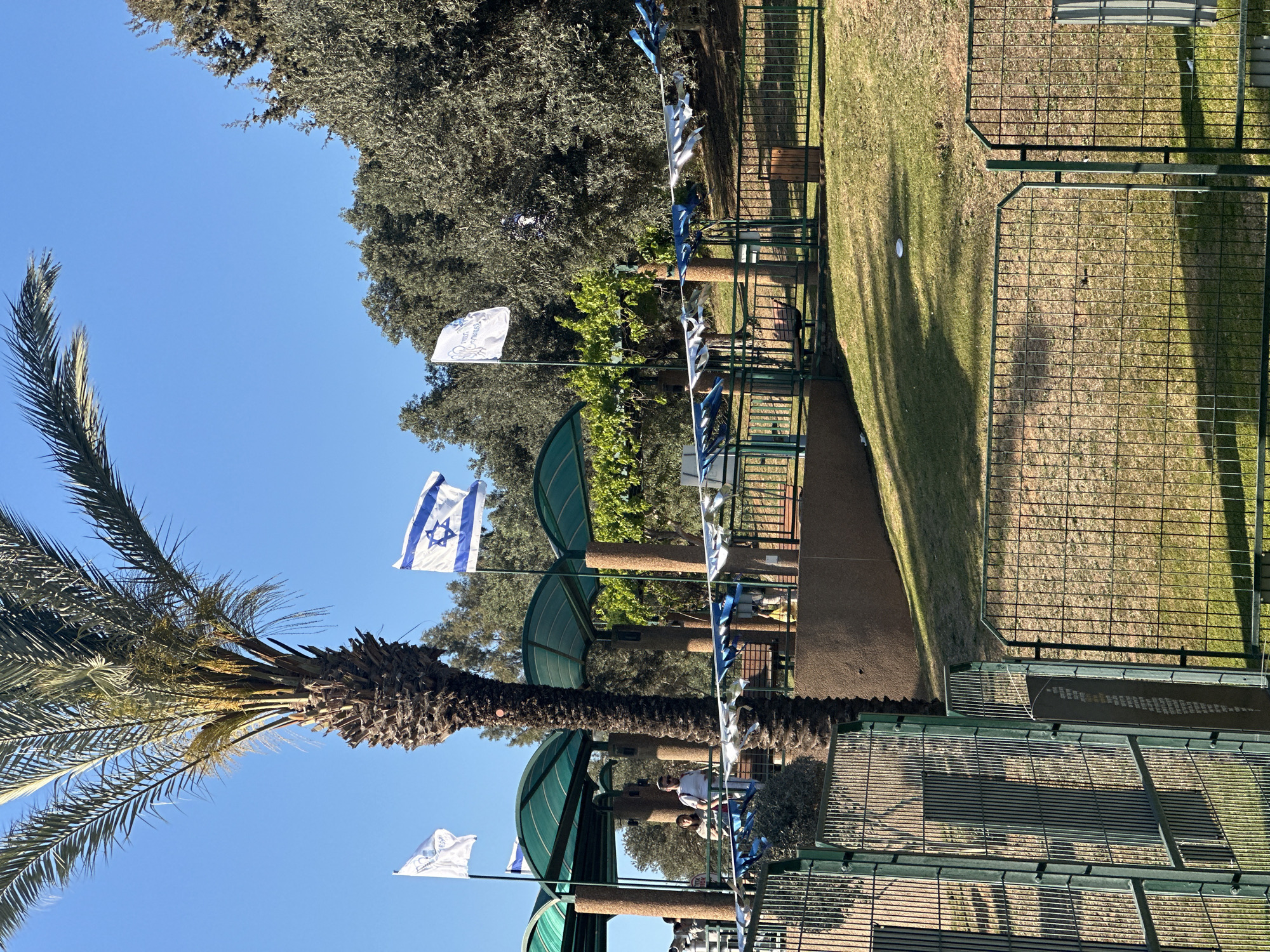 This outdoor image, taken in Raanana, Israel, depicts a sunny day with a clear blue sky. A large palm tree with a thick trunk and prominent fronds stands on the left. Several Israeli flags, characterized by the blue Star of David on a white field, are flying from poles, suggesting a national event or celebration. Blue and white bunting or streamers are strung between various poles and structures across the scene, reinforcing the festive atmosphere.
Additionally, two white flags with blue text and a logo are visible; one near the palm tree and another further back. The text on these flags appears to be in Hebrew, with portions suggesting "שניר" (Shnir) and potentially "התרחבות" (Hitrachvut), along with a graphic design that is not entirely clear.
The setting includes areas of green grass, displaying distinct, elongated shadows that indicate either morning or late afternoon sun. Green metal fences enclose different sections of the space. Several structures featuring curved green roofs and supporting pillars offer shade, possibly functioning as gazebos or seating areas. Two people are partially visible near one of these shaded structures, one wearing a white shirt, suggesting casual activity in the park-like environment. The scene is bright, clear, and appears peaceful.