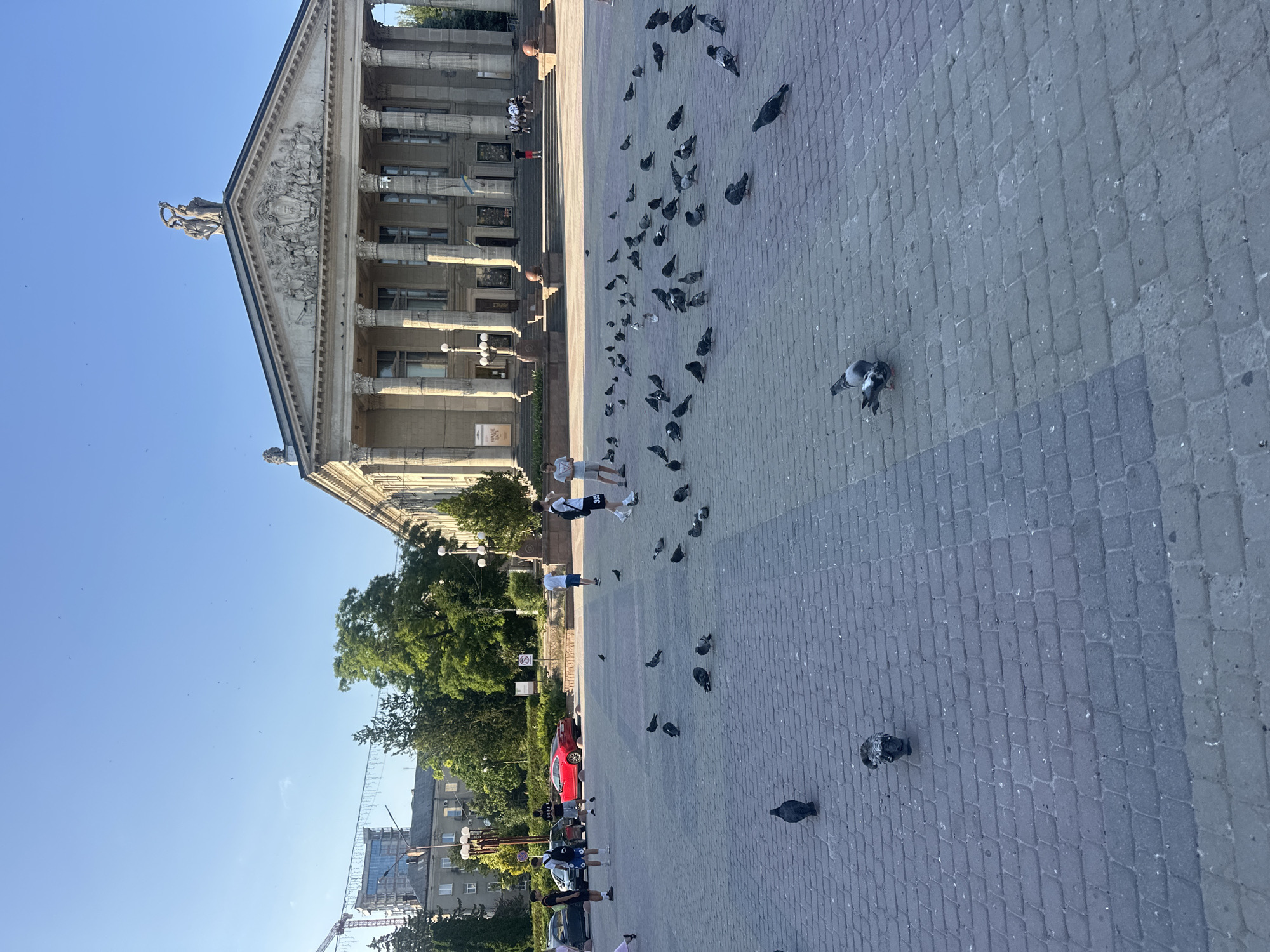 This media file captures a scene on a sunlit day in Ternopil, Ukraine. The foreground is dominated by a cobblestone plaza, where a flock of pigeons is gathered. A few people are present in the plaza, some walking and others standing. In the background, a grand, classical-style building with columns and intricate architectural details stands prominently. Trees and other buildings are visible further in the distance. The sky is clear and blue, indicating fair weather. The overall atmosphere appears calm and ordinary, with people going about their day in a public space. There are no prominent signs of any specific event or emotional distress. The lighting suggests it is daytime, likely morning or afternoon.