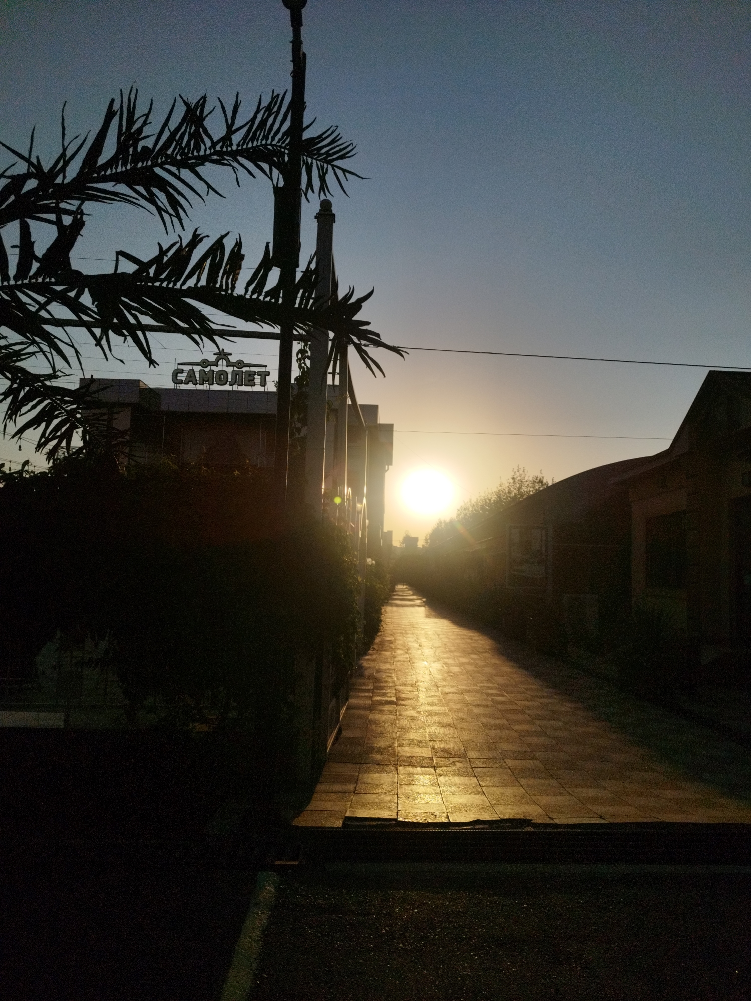 A low-angle, handheld photograph depicts a paved walkway leading into the distance, bathed in the golden light of a setting sun. The sun is visible in the center of the frame, partially obscured by trees and a building to its right. The walkway is made of square tiles and reflects the sunlight, creating a bright, shimmering path. To the left of the walkway is a building with a sign that reads "САМОЛЕТ" (Samolyot), which is Cyrillic for "Airplane." Palm fronds are silhouetted against the sky in the upper left portion of the image. The sky is a gradient of pale blue at the top, transitioning to a lighter hue near the horizon. The overall scene is tranquil and serene, suggesting an evening stroll in a pleasant outdoor setting. The location is identified as being in the city of Shymkent, Kazakhstan.