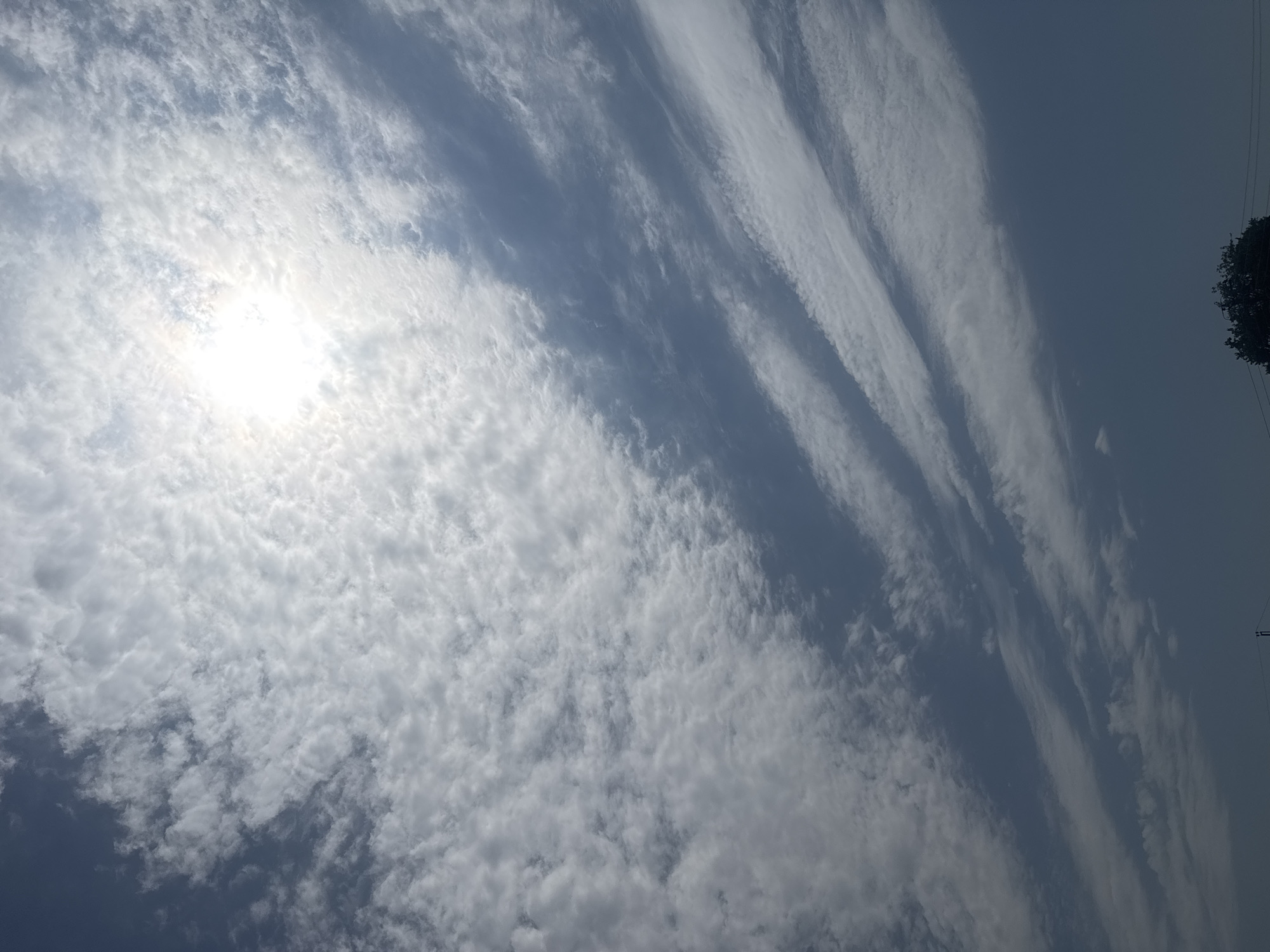The image shows a daytime sky in Tashkent, Uzbekistan. The sky is primarily light blue with a mix of cirrocumulus and cirrus clouds. The sun is visible, obscured by a layer of thin clouds, giving it a diffused appearance. The cirrocumulus clouds are scattered across the sky, while the cirrus clouds form long, linear streaks. A tree and utility pole are visible at the top right edge of the frame.