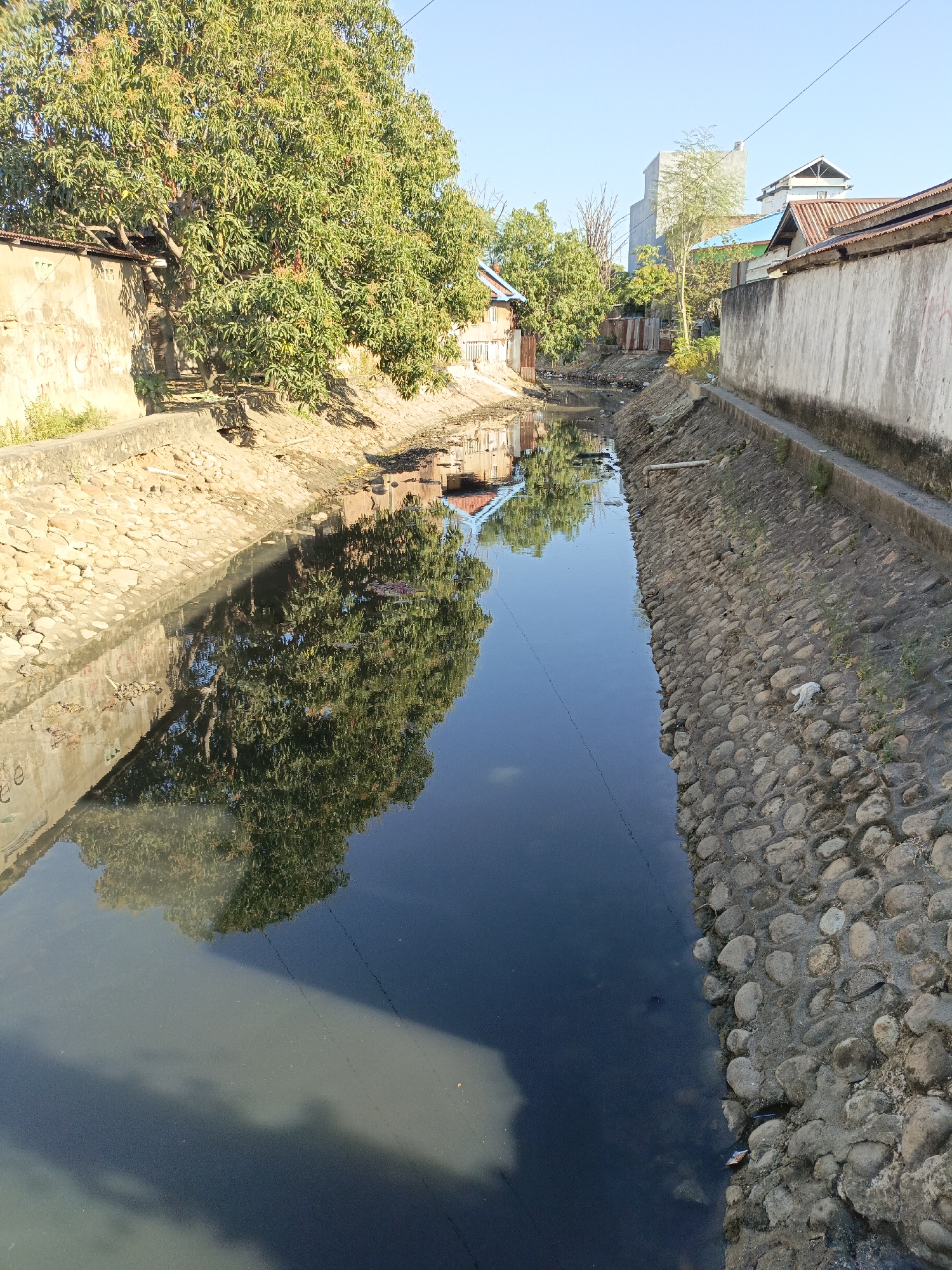 This is a photograph taken in the city of Terang-terang, Indonesia, looking down a narrow, man-made canal. The canal has stone-lined banks with a concrete edge on both sides. The water in the canal is dark and appears to have some debris floating in it, as well as murky sediment near the edges.
On the left bank, there is a low, textured wall, possibly made of concrete or stucco, with some plant growth at its base. A large, leafy tree overhangs this wall and the canal, casting a shadow on the water. The reflection of the tree and surrounding structures is visible on the water's surface. Beyond the wall and tree, there are some small buildings and fences.
On the right bank, the stone lining is more prominent, with some scattered debris, including a white plastic bag, visible on the embankment. Further down the right bank, there are more buildings, some with pitched roofs, and taller structures in the distance. Power lines are visible stretching across the scene. The sky above is clear and blue. The overall impression is of an urban or semi-urban drainage system in a tropical climate.