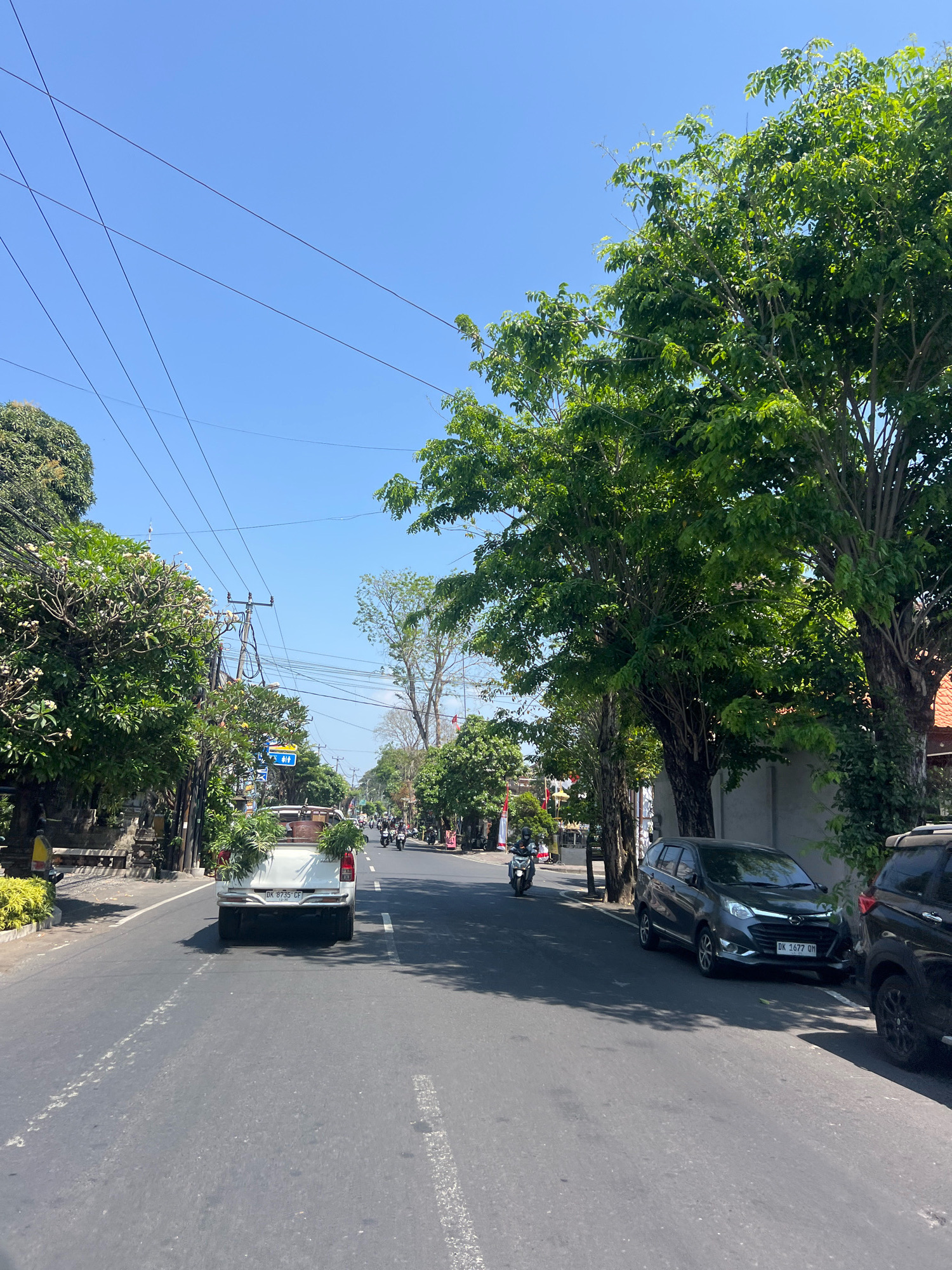 A daytime, eye-level, forward-facing shot captures a street scene in Denpasar, Indonesia. The road is paved with asphalt and marked with white lines. The sky is a clear, bright blue. Lush green trees line both sides of the street, with some branches extending over the road. Power lines crisscross the sky.
On the left side of the road, a white pickup truck is parked, its bed filled with potted plants. Further down the road, a sidewalk is visible, with stone structures and more greenery.
On the right side of the road, a dark gray minivan is parked, its license plate reading "DK 1677 QM". Next to it, the rear of a black SUV is visible. In the distance, several motorcycles are seen on the road. Traffic lights and street signs are also present. The overall impression is that of a sunny day on a busy street in an urban environment.