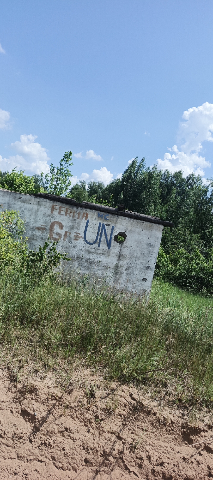 A vertical, medium shot captures an old concrete structure with graffiti on its side, nestled within the natural landscape of Bol'shoi Bukor, Russia. The structure is leaning, its white painted surface weathered and showing signs of age and damage, including a noticeable hole near the bottom right. Painted on the wall in blue and brown lettering are the words "FERMA MC" and "GR UNO". The structure is surrounded by tall, green grass and dense foliage of trees and bushes. The sky above is a clear, bright blue with scattered white clouds. The ground in the foreground is sandy and textured. The image appears to have been taken on a bright, sunny day.