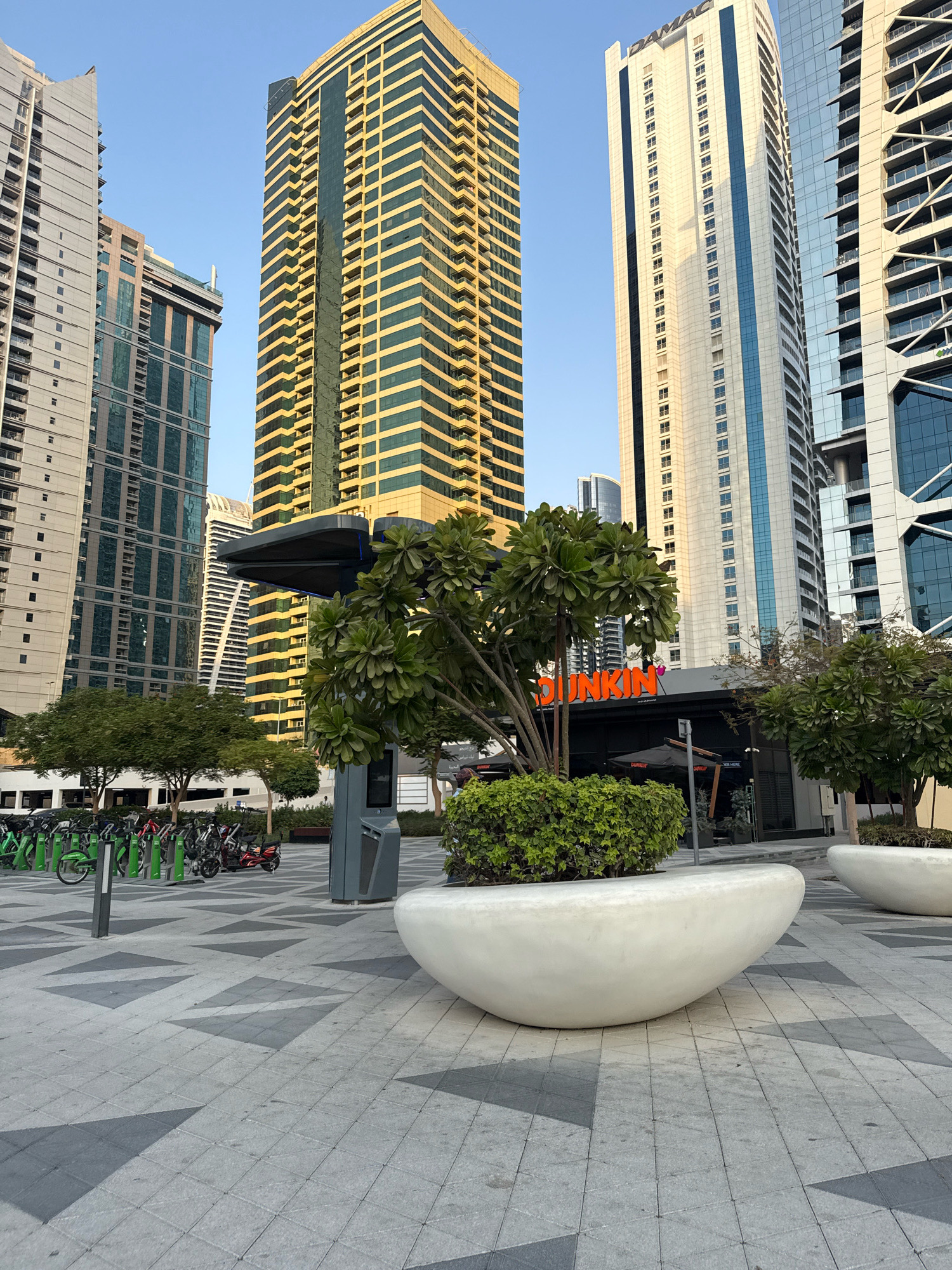 The image depicts a street scene in Dubai, United Arab Emirates, likely in the Dubai Marina area, characterized by modern high-rise buildings and contemporary urban design. Dominating the background are several tall skyscrapers, including a prominent building with a gold-tinted facade featuring a grid pattern of windows, and another taller, slender white building with blue vertical accents, branded with "DAMAC." In the midground, a Dunkin' Donuts establishment is visible with its signature orange logo.
In the foreground, a paved plaza with a geometric pattern of gray and darker gray triangular tiles sets the scene. A large, smooth, white planter with a curved, egg-like shape is positioned prominently. To the left, a row of green and white rental bicycles are docked, along with a few red electric scooters, indicating a shared mobility service. Several trees and bushes, including a larger tree with dense foliage in front of the Dunkin' Donuts, provide greenery. A modern, dark gray street fixture, possibly an information kiosk or charging station, stands near the planter. The sky is a clear, light blue, suggesting it is daytime, likely late afternoon due to the warm lighting on the buildings. There are no people visible in the frame.
