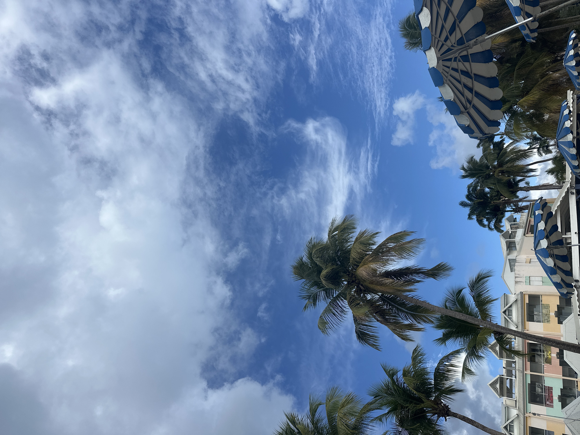 A low-angle shot looking up into a blue sky with wispy clouds. Several palm trees are visible with green fronds. Above the trees are beach umbrellas with white and blue stripes. A multi-story building in pastel colors of white, pink, green, and yellow is visible behind the umbrellas and trees. The location is likely Le Gosier, France.