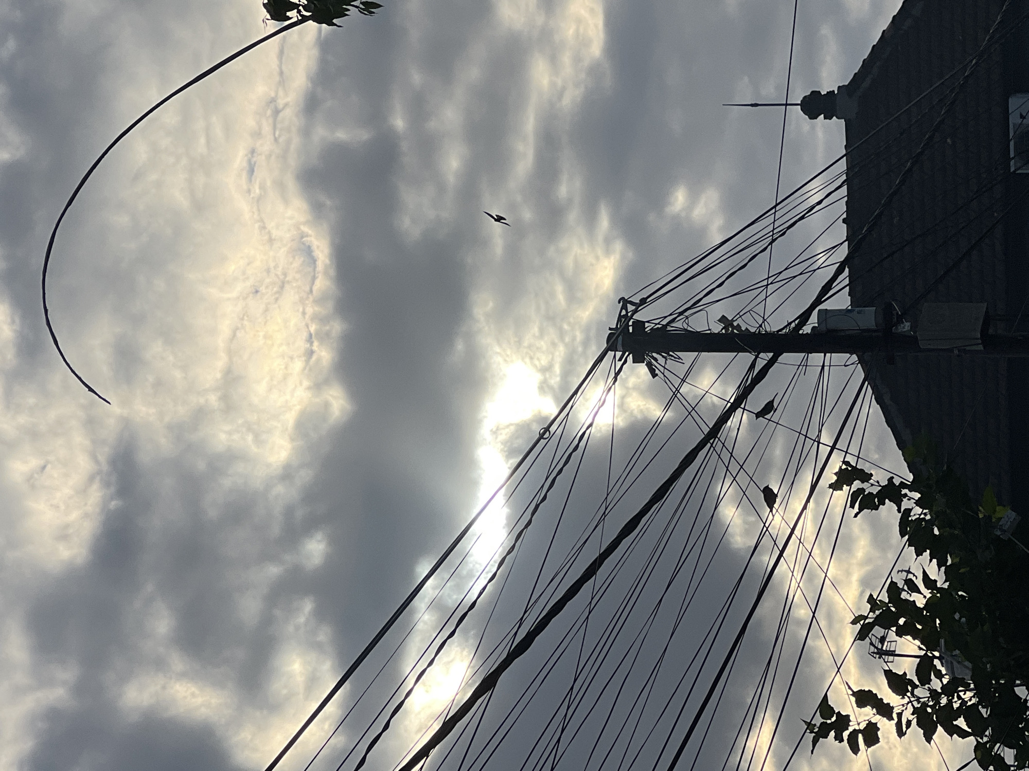 A low-angle shot captures a dramatic, overcast sky with patches of sunlight breaking through, casting rays onto a dense network of black electrical wires. The wires crisscross the frame, suspended from a utility pole visible on the right side of the image. A bird is silhouetted against the sky in the upper right quadrant. Below the wires, the dark, tiled roof of a building is visible, topped with a decorative spire or finial. A silhouette of a tree with dark green leaves frames the lower left corner. The scene suggests a residential or urban area, possibly in Denpasar, Indonesia, given the atmospheric conditions and the common presence of such utility infrastructure.