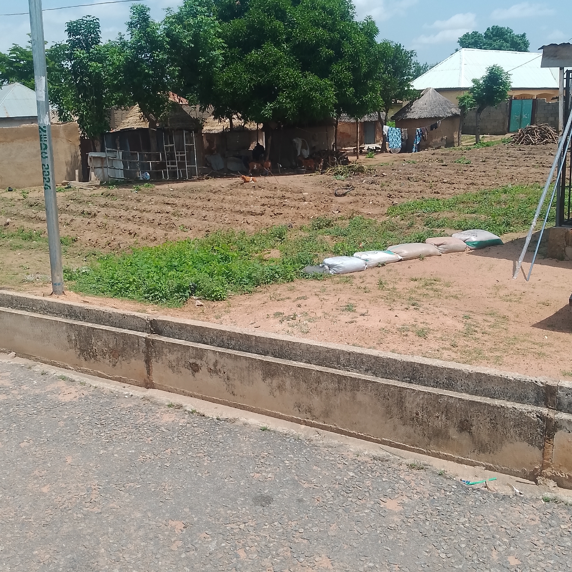 This is a photograph of a street scene in Jalingo, Nigeria. In the foreground, a paved road is visible, with a concrete drainage ditch running alongside it. Beyond the ditch, a patch of dry, reddish-brown earth is dotted with sparse green vegetation. A line of several large, white, opaque sacks, likely filled with goods, are arranged in a row on the ground. In the mid-ground, several buildings are visible, some with thatched roofs and others with corrugated metal roofs. A tall, grey metal pole stands prominently on the left side of the image. Behind the buildings, a dense canopy of green trees provides shade. The sky is a pale blue with scattered white clouds. The overall impression is one of a rural or semi-rural setting within a town.