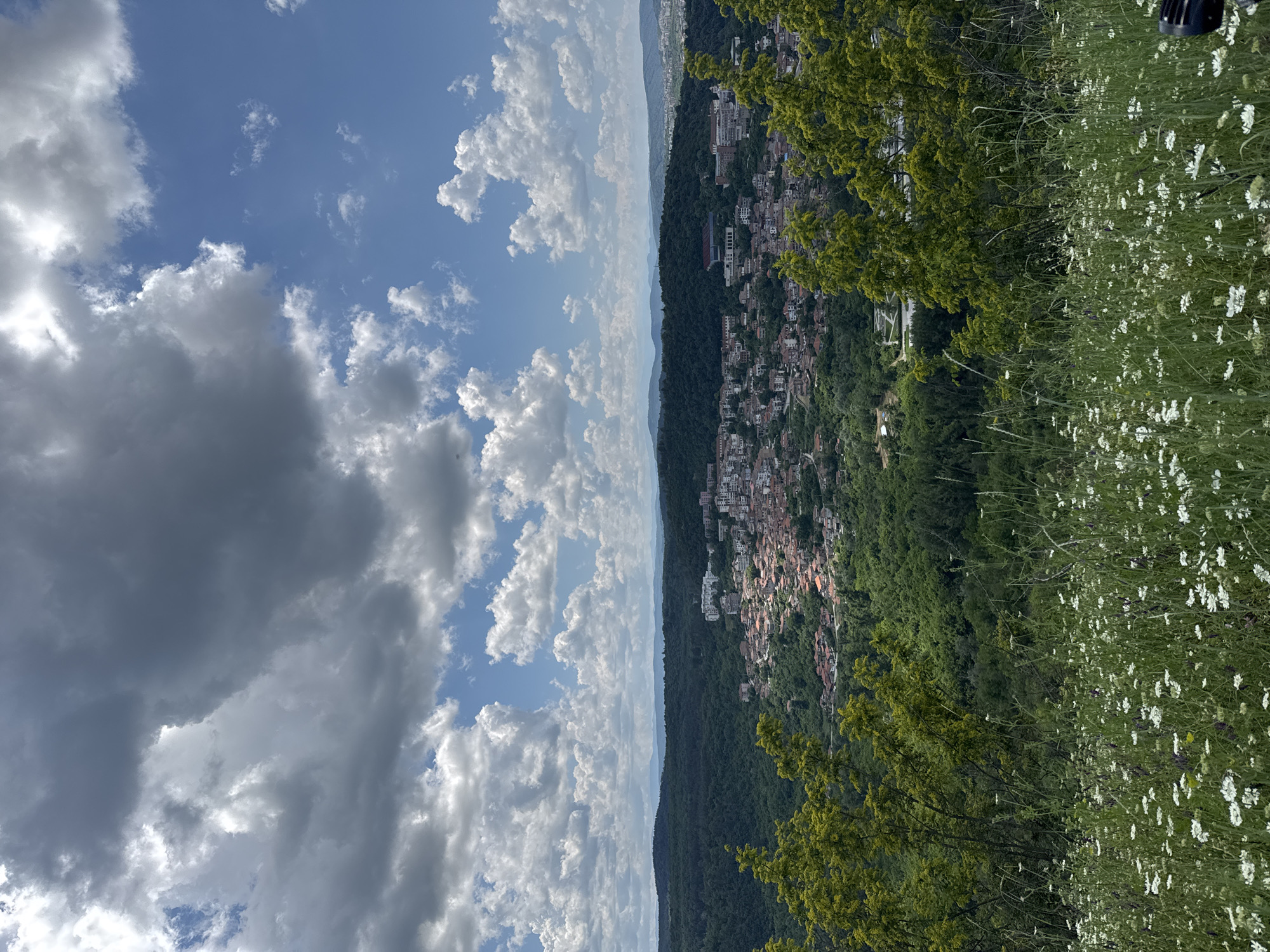 This is a scenic, high-angle, eye-level, medium shot taken on a sunny day with scattered clouds, overlooking the city of Veliko Tarnovo, Bulgaria, likely from a viewpoint on a hill. In the foreground, a field of green grass is dotted with numerous small white wildflowers and some scattered purple flowers. Two large trees with bright green foliage frame the left and right sides of the foreground, partially obscuring the view of the city below.
The middle ground reveals a dense, verdant forest that covers the rolling hills surrounding the city. Nestled within the forest and sprawling across the slopes is the city itself, characterized by its red-tiled roofs and a mix of older, traditional houses and more modern buildings. The city appears to be situated on a hillside, with some structures built at varying elevations.
In the distance, beyond the immediate cityscape and forest, more rolling hills fade into the horizon under a vast sky filled with large, puffy white clouds mixed with darker, more ominous grey clouds. The overall impression is one of natural beauty combined with a historical urban landscape. The specific viewpoint is not identifiable from the image alone, but it is a common tourist spot offering panoramic views of Veliko Tarnovo. There are no people or discernible human activity visible in the image.