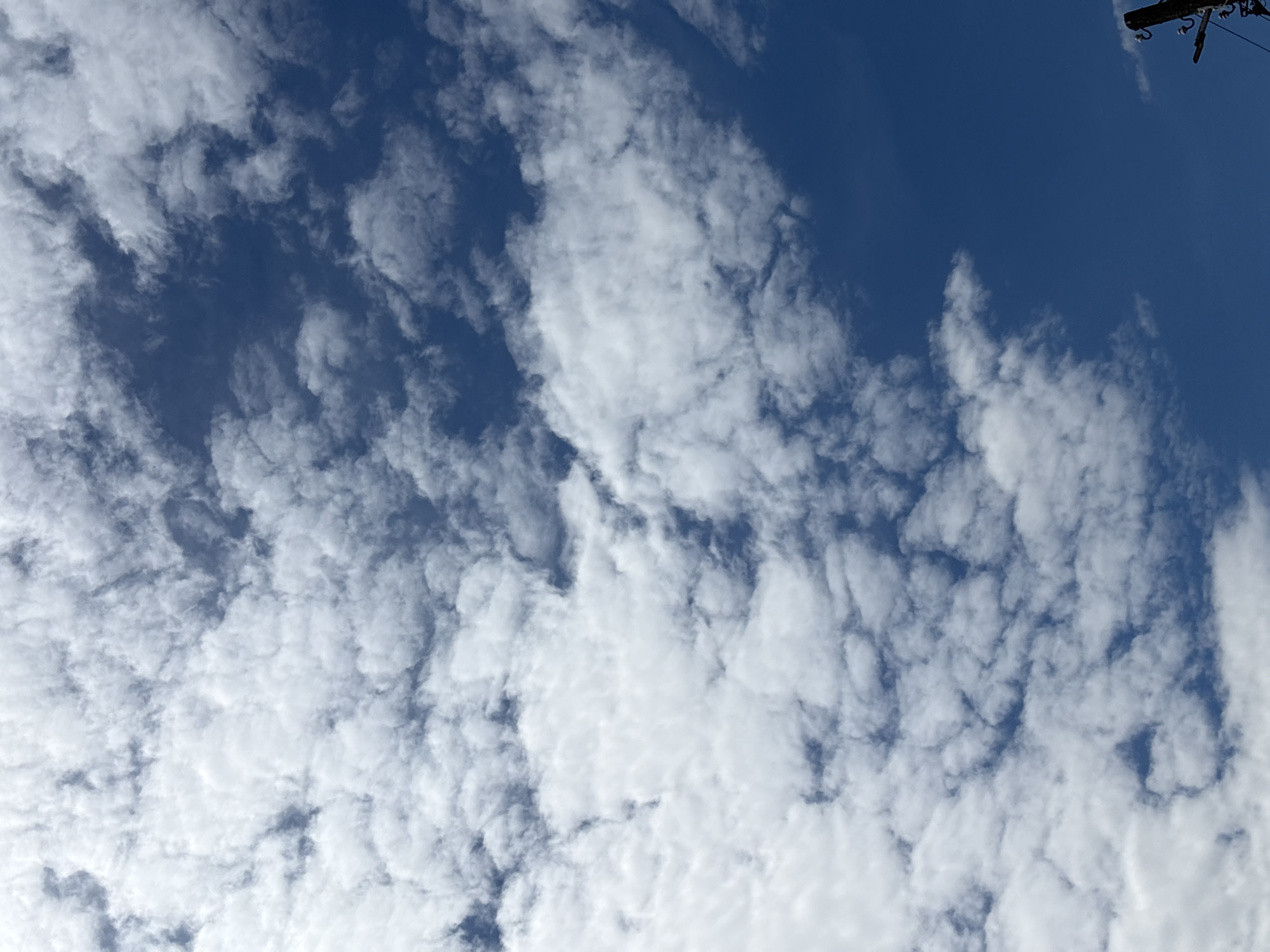 A clear, bright blue sky is dotted with fluffy, white cumulus clouds that stretch across the frame from the left side to the right. The clouds are scattered in an irregular pattern, with some areas appearing denser than others, creating variations in light and shadow. The bottom right corner of the image shows the top of a wooden utility pole, with insulators and wires visible, suggesting an outdoor urban or suburban setting. The image captures a typical daytime sky, with no people or discernible human activity beyond the presence of the utility pole.