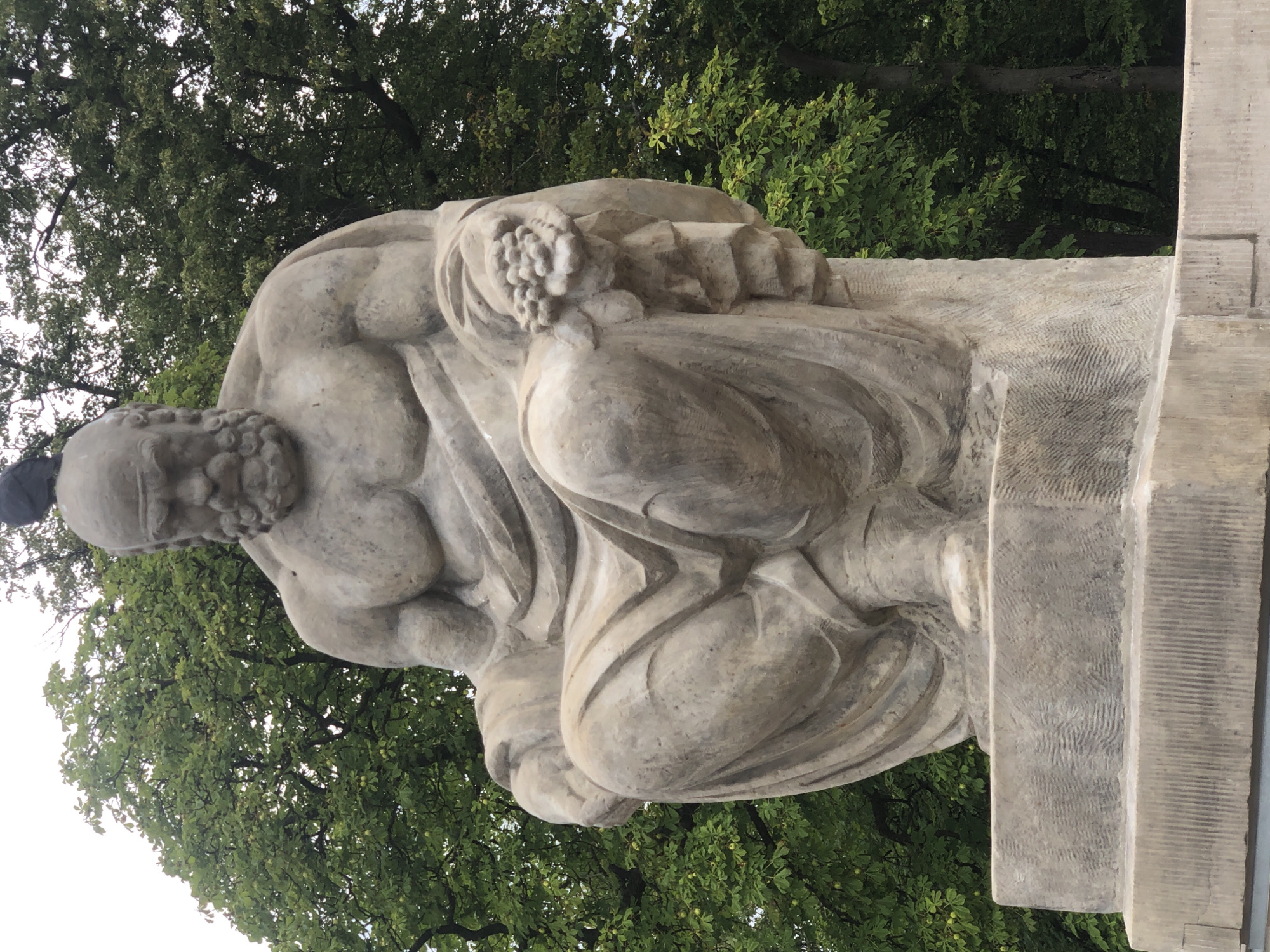 A low-angle, medium shot captures a stone statue of a seated, muscular man with a beard and bald head. The man is draped in flowing robes and is holding a cluster of grapes in his right hand. A bird is perched on the top of the statue's head. The statue is situated on a stone pedestal in front of a dense canopy of green trees. The sky above is overcast and pale. This statue is located in Łazienki Park in Warsaw, Poland, and is identified as a representation of Socrates.