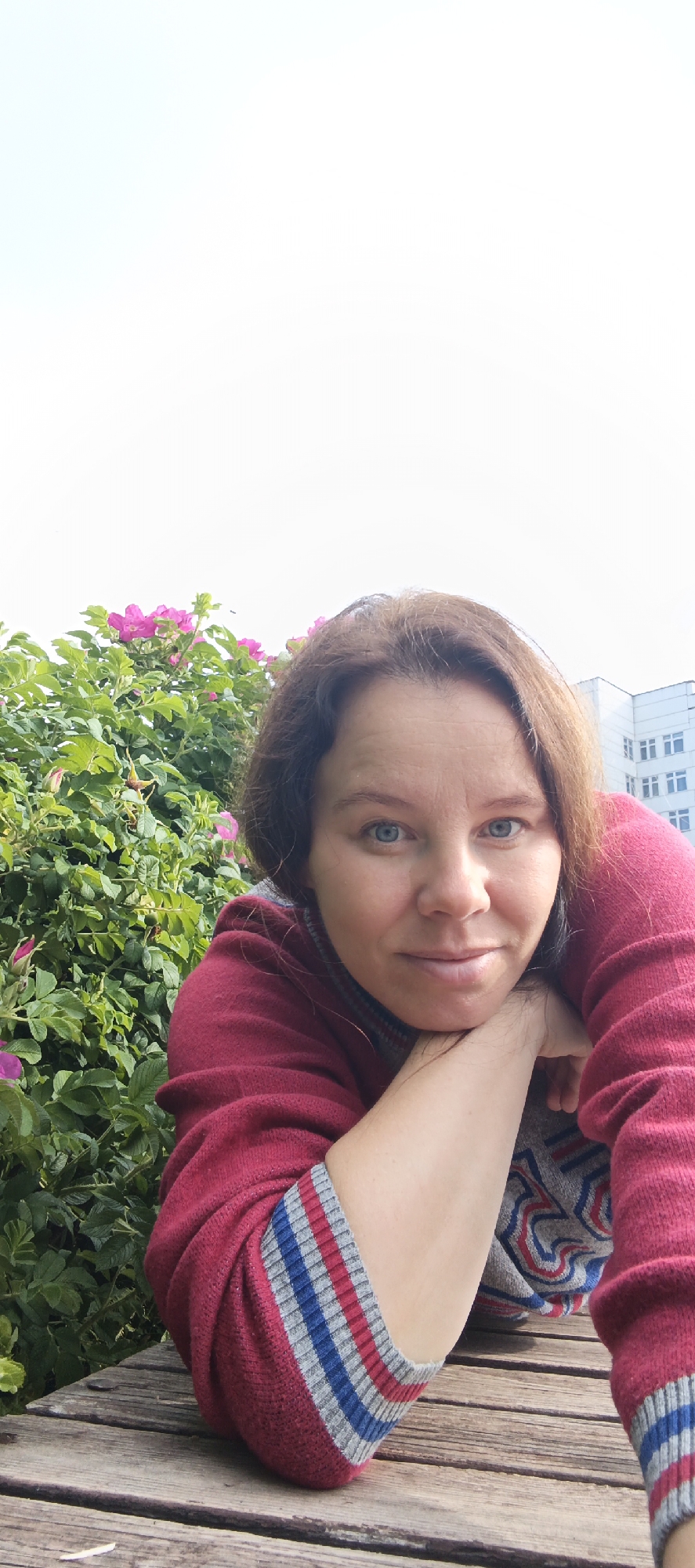A medium shot shows a woman with medium-length brown hair and blue eyes, resting her chin on her hands, as she looks directly at the camera. She is wearing a red sweater with grey and blue stripes on the cuffs. She is leaning on a wooden surface, which appears to be a bench or table. Behind her is a bush with green leaves and pink flowers. In the background, a white building with multiple windows can be seen. The sky is clear and bright, suggesting it is daytime. The woman is positioned in the lower half of the frame, with the greenery and building occupying the upper half. The location is identified as Chaikovsky, Russia.