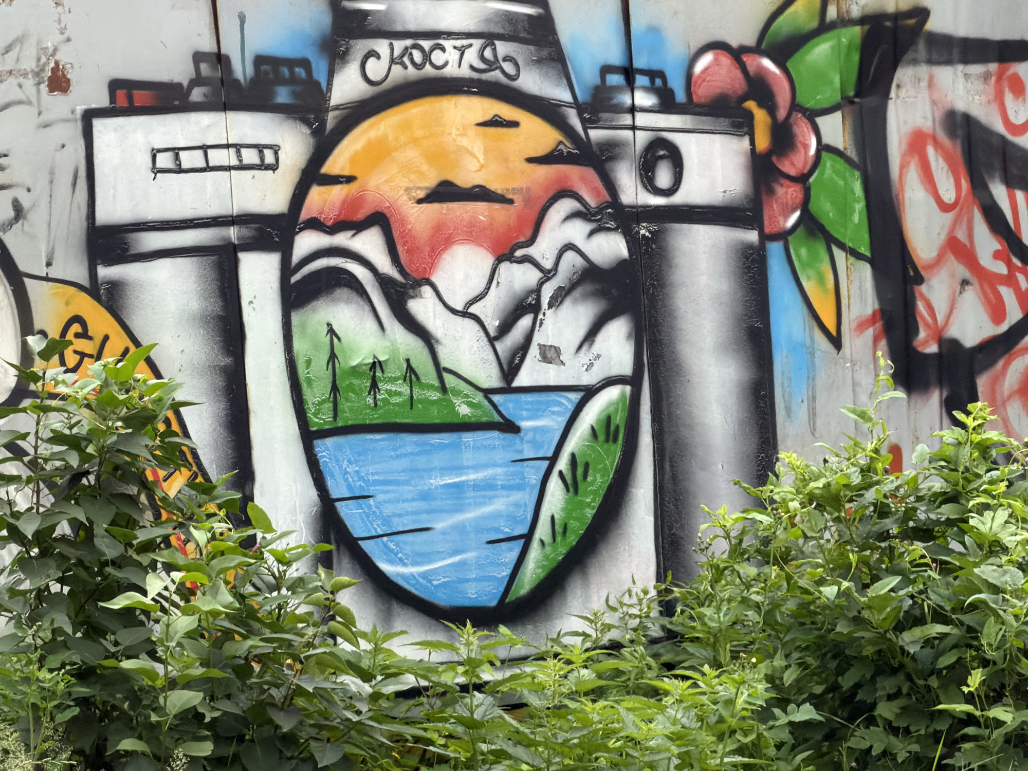 The image shows a graffiti mural on a concrete wall, possibly in an industrial or urban area of Tyumen, Russia, as indicated by the Cyrillic script on the mural. The graffiti depicts a stylized image resembling a camera lens with a landscape inside. The landscape features a sunset with orange and red hues over mountains, a body of blue water, and green hills with trees. The exterior of the "camera" is rendered in shades of gray and black, with some red and pink floral elements on the right side. The graffiti is partially obscured by lush green foliage in the foreground, suggesting an outdoor location with vegetation. The overall impression is of urban art integrated into the natural environment.