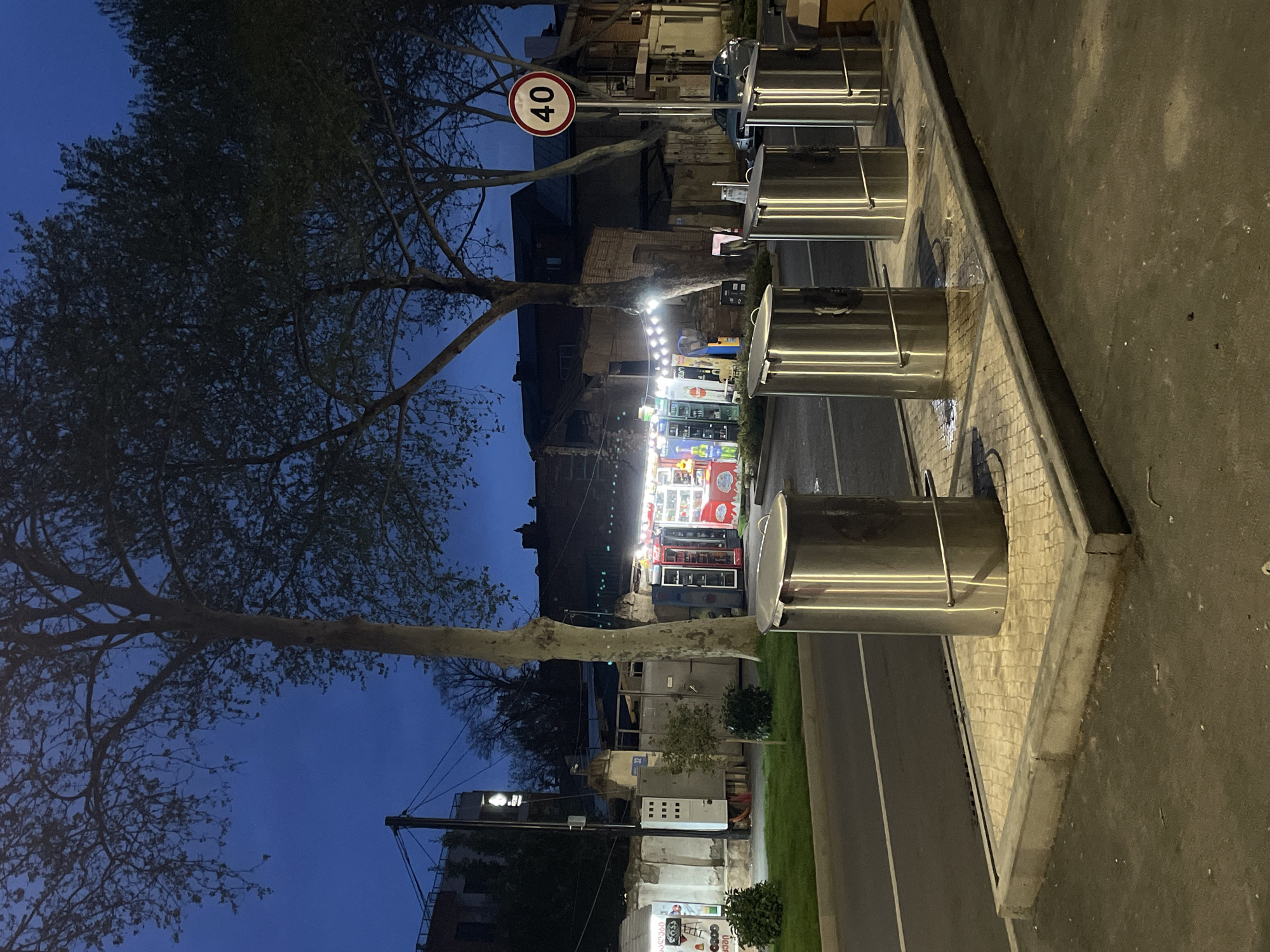 The image shows a street scene in Tbilisi, Georgia, at dusk or early evening. A row of stainless steel trash receptacles lines the sidewalk. A speed limit sign (40 km/h) is visible. In the background, across the street, is a brightly lit vending machine area. Buildings of various architectural styles are visible. Trees with bare branches frame the scene.