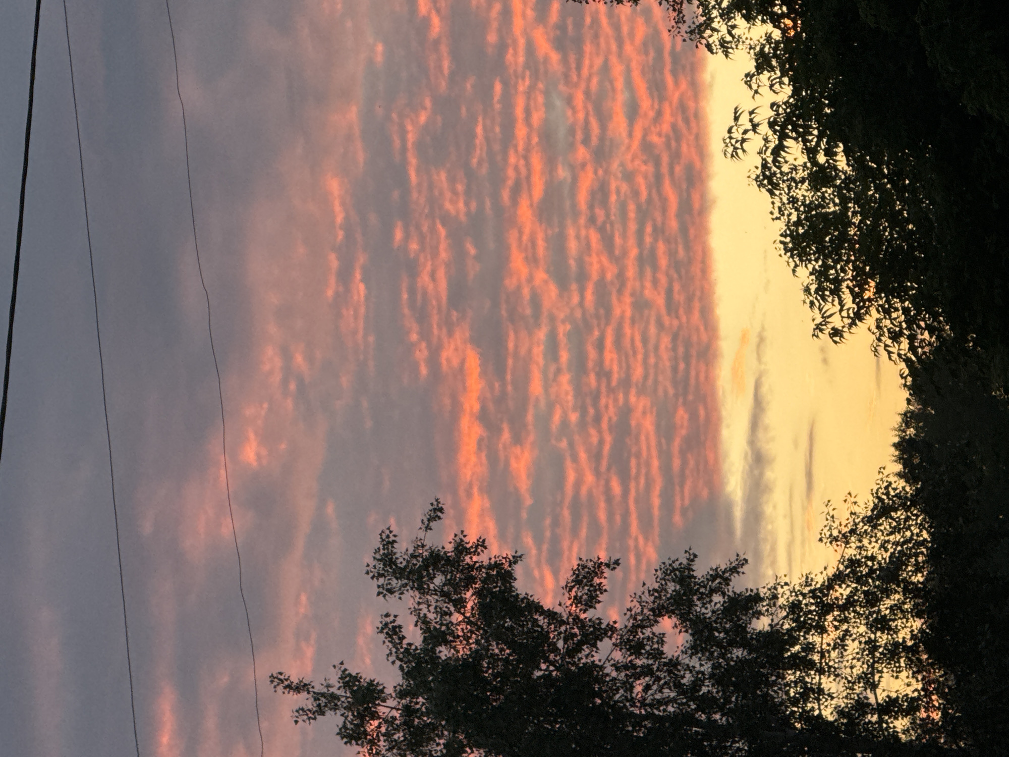 The image depicts a sunset sky over a city, with a prominent view of the sky filled with orange and pink clouds, interspersed with gray clouds. Two silhouetted trees frame the bottom left and right of the image. Electrical wires are visible stretching across the top portion of the frame. The scene is likely captured from an elevated position or an open area within Chaikovsky, Russia, given the presence of trees and overhead electrical lines. There are no people or discernible activities visible in the image. The environment appears to be natural, with the urban setting suggested by the electrical wires. The time of day is sunset, indicated by the coloration of the sky and clouds.