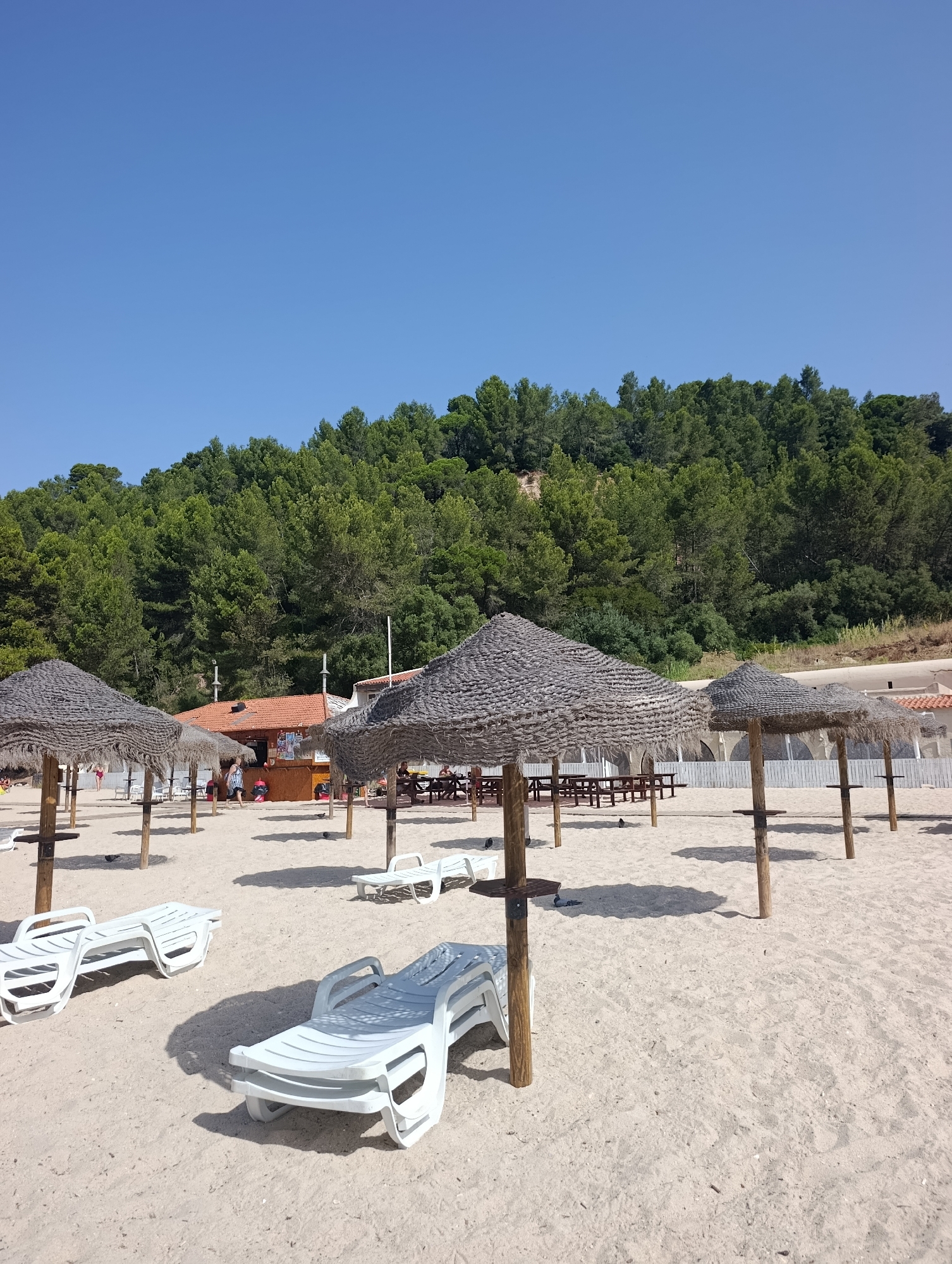 The image depicts a sandy beach with several sun loungers and straw umbrellas. In the background, there is a building with a red roof that appears to be a cafe or restaurant. A dense forest covers the hillside behind the building. The sky is clear and blue. There are no people clearly visible in the foreground, but some figures are present near the cafe. The overall scene suggests a peaceful and sunny day at the beach in Setúbal, Portugal.