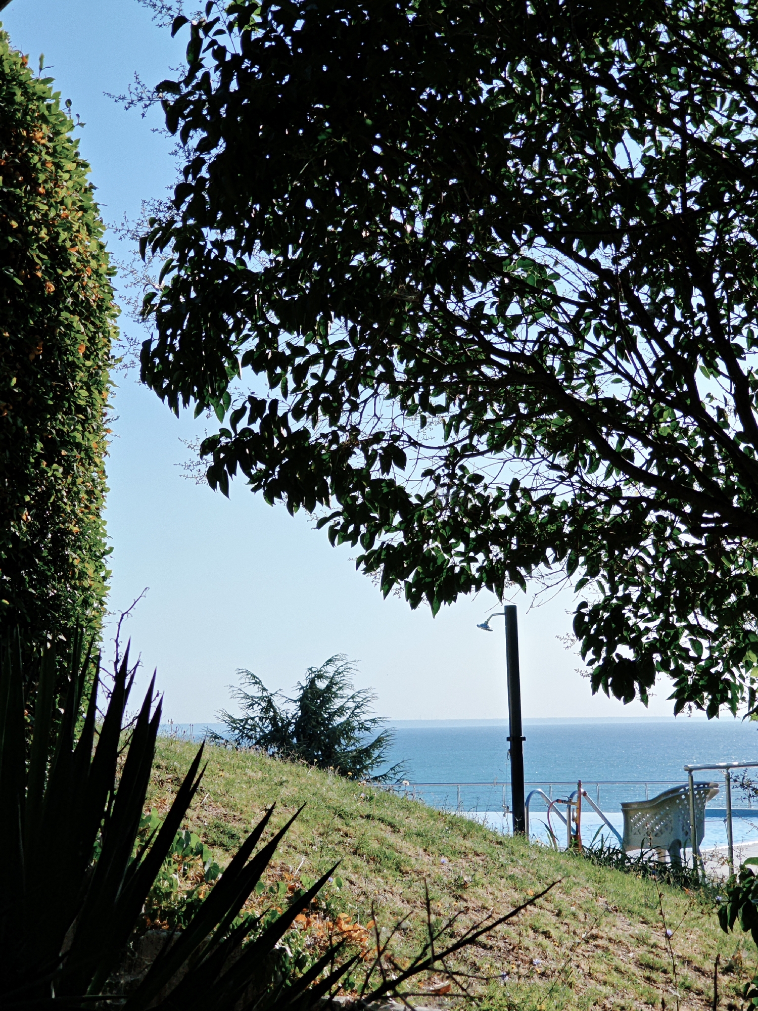 A sunlit outdoor scene features a lush green hillside sloping down towards a bright blue body of water, likely the ocean or a large lake. Silhouetted against the clear blue sky are the dense leaves and branches of a large tree in the foreground, framing the view. To the left, a tall, densely leaved hedge with small orange flowers adds a vibrant green texture. In the middle ground, a tall, slender pole with a showerhead attachment stands beside a section of railing that borders what appears to be a swimming pool. A white plastic chair sits near the pool. A lone bird is visible in flight against the sky. The vegetation on the hillside is a mix of grass and smaller plants, with a conical evergreen tree further up the slope. The overall impression is one of a serene coastal or poolside setting on a bright, clear day.
