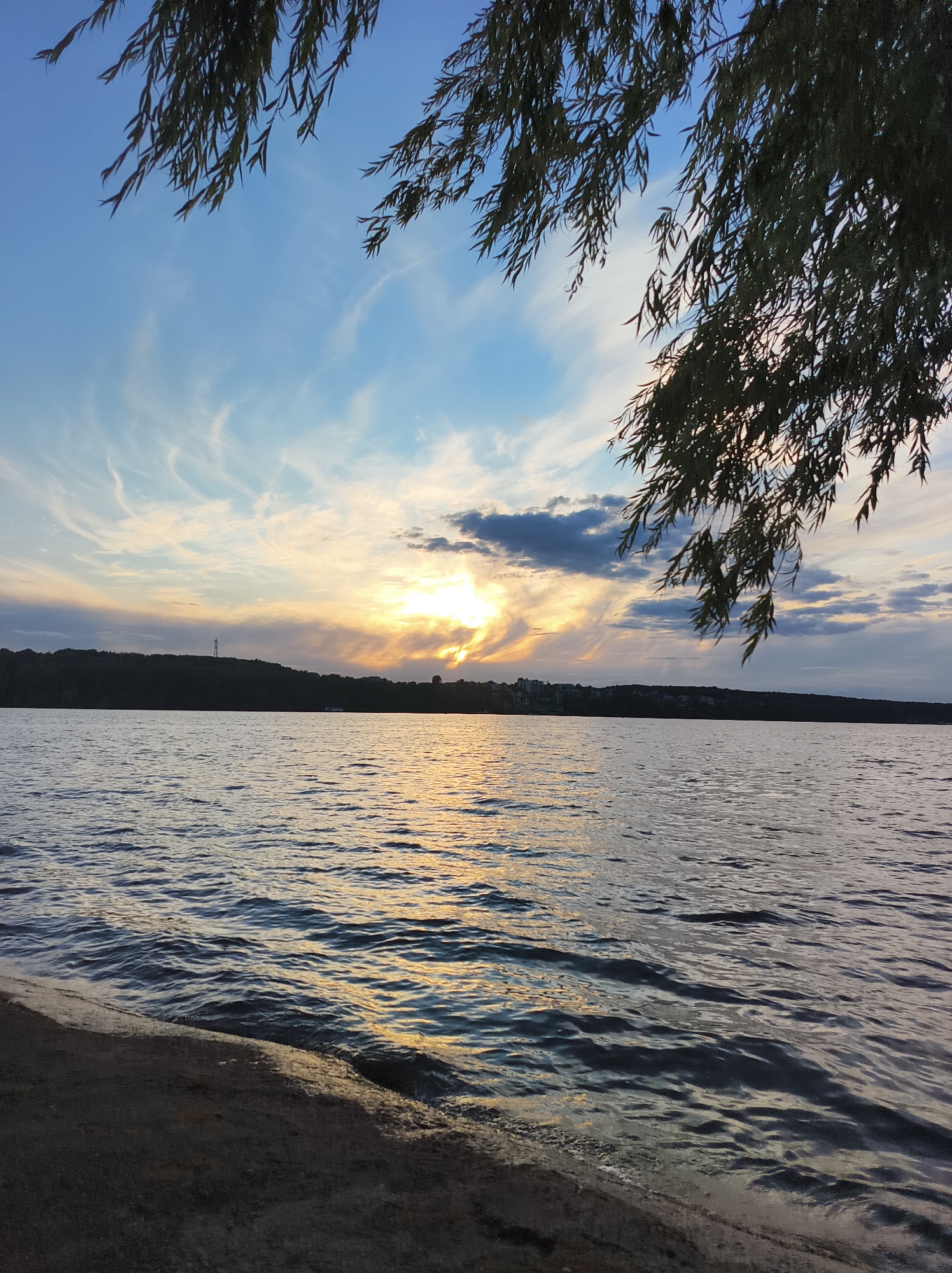 This is a photograph of the Ternopil Lake in Ternopil, Ukraine, taken at sunset. The image features a body of water with gentle ripples, reflecting the warm hues of the setting sun. The sky above is a canvas of blues and oranges, with wispy clouds that have been illuminated by the sun's rays. In the foreground, a sandy shore is visible on the left side of the frame, with a dark shadow cast upon it. Overhanging the scene from the top are the dark green leaves and branches of a tree, possibly a willow, which partially obscure the sky. On the horizon, a dark, tree-lined silhouette of the opposite bank of the lake can be seen, with a few buildings and a tower-like structure visible against the skyline. The overall impression is one of natural beauty and tranquility during twilight.