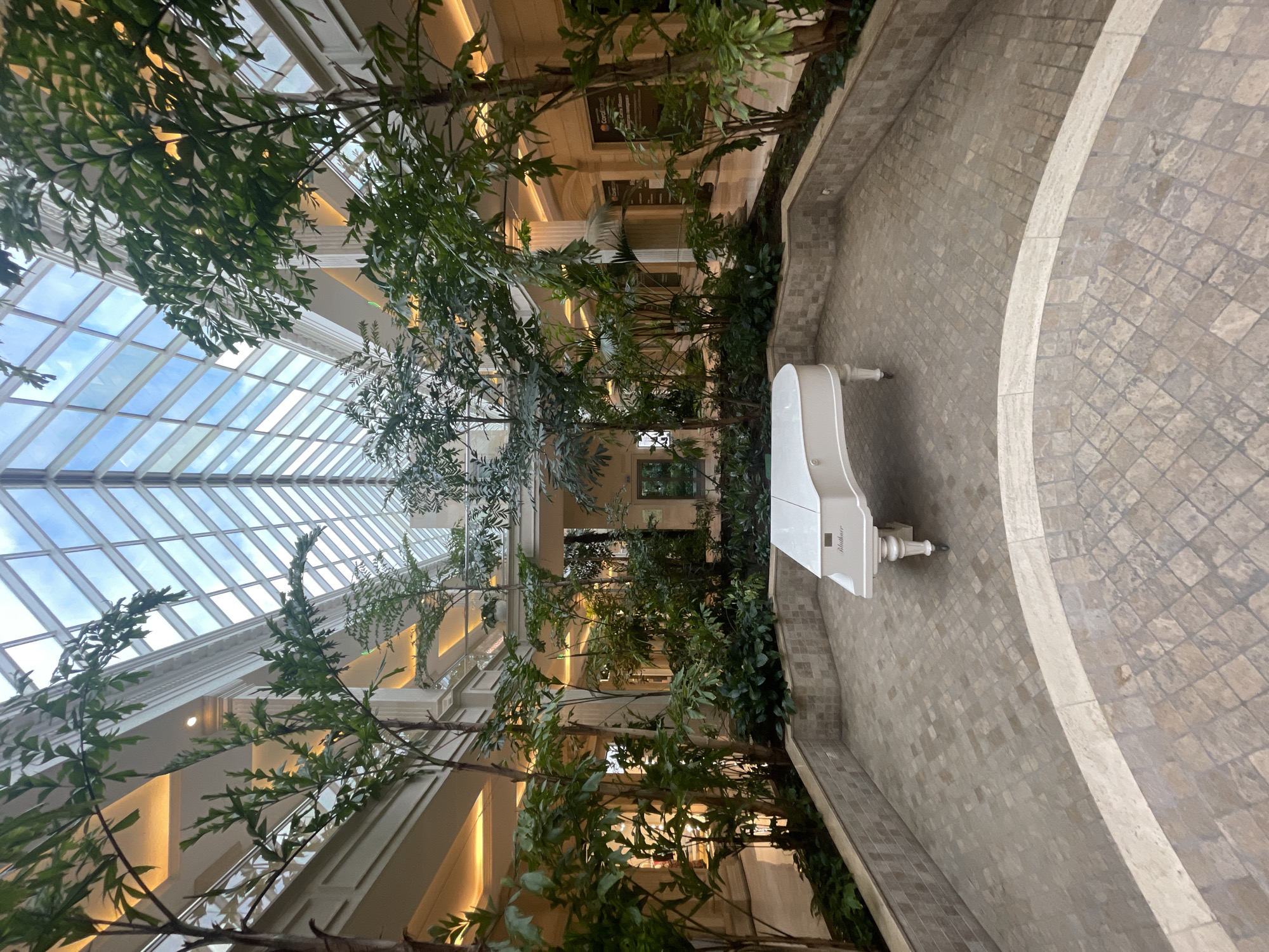 This indoor atrium features a white baby grand piano situated on a tiled floor. Lush green trees with slender trunks are strategically placed throughout the space, creating a natural and tranquil atmosphere. Above, a large, sloped glass ceiling allows natural light to flood the area, revealing the sky beyond. The architecture suggests a modern building with high ceilings and elegant design, possibly a hotel lobby, atrium, or conservatory. The lighting is warm and ambient, with some artificial lights visible on the interior walls. There is no visible activity or event taking place, presenting a still and serene scene. The time of day appears to be daytime, as indicated by the natural light from the glass ceiling. The overall mood is peaceful and sophisticated. The visible text on the piano reads "Ribaudier."