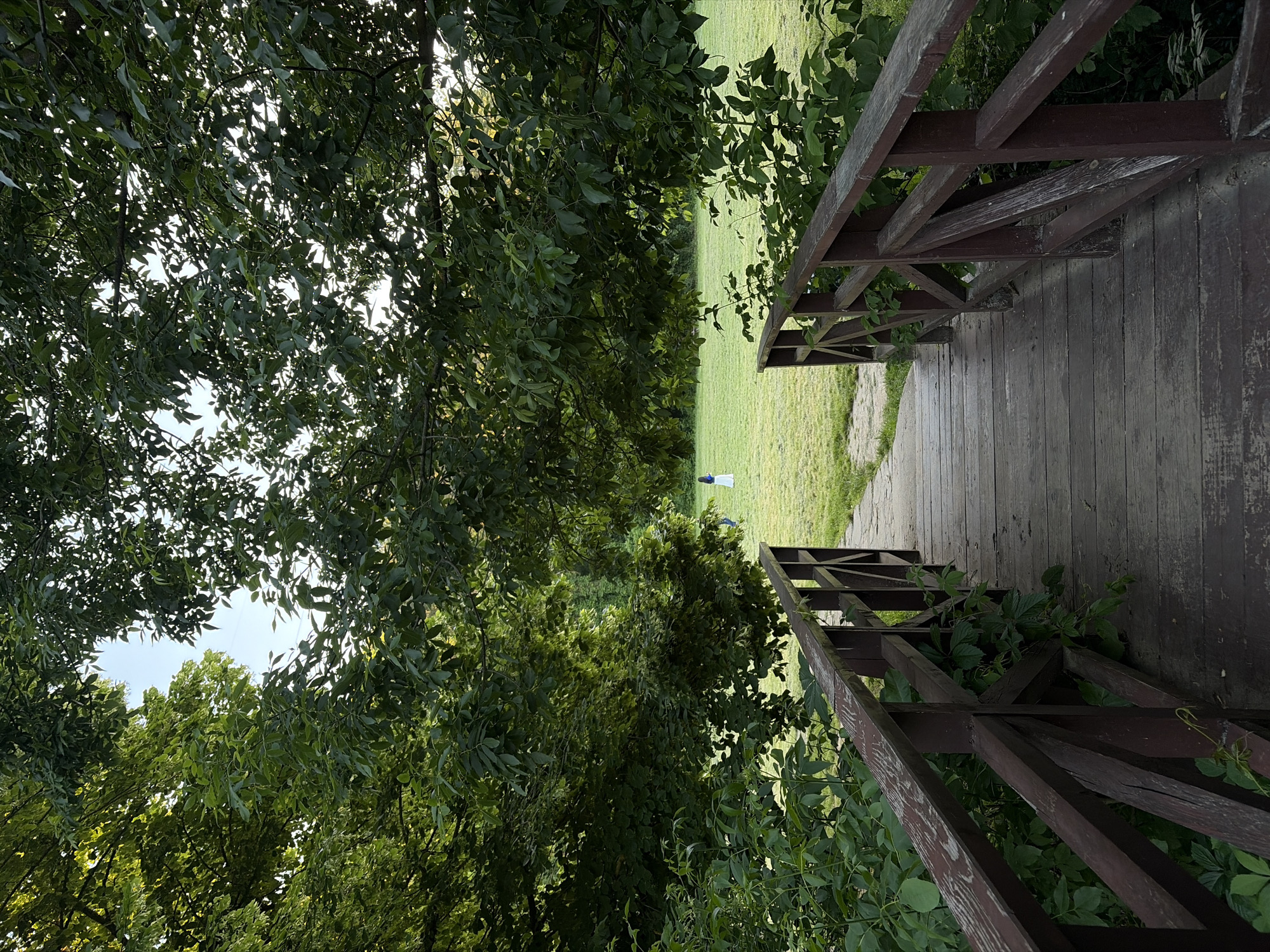 A wooden bridge with dark brown railings and planks crosses a grassy area framed by dense green trees. A single person in a white dress and blue footwear stands in the open field beyond the bridge. The location is in a city named Unknown, Unknown.