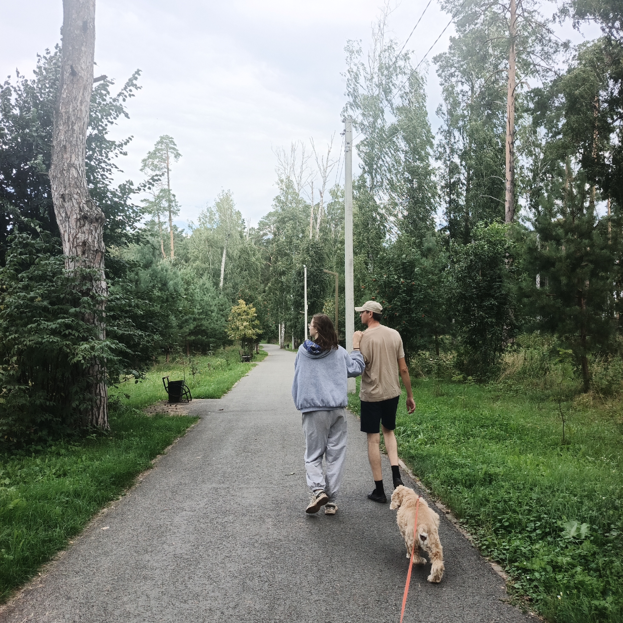 In Nikolo-Beryozovka, Russia, a paved walking path meanders through a verdant park. On this path, a couple and their dog are walking away from the camera. The man, wearing a tan t-shirt and black shorts, is on the right, while the woman, in a gray hoodie and sweatpants, is to his left. The dog, a light-colored fluffy breed, is leashed and walks ahead of them on the right side of the path. The path is bordered by lush green grass and trees. In the background, taller trees form a dense canopy, suggesting a forest or wooded park area. The sky is overcast, with a pale, diffused light. A trash can is visible on the left side of the path, near a large tree trunk.