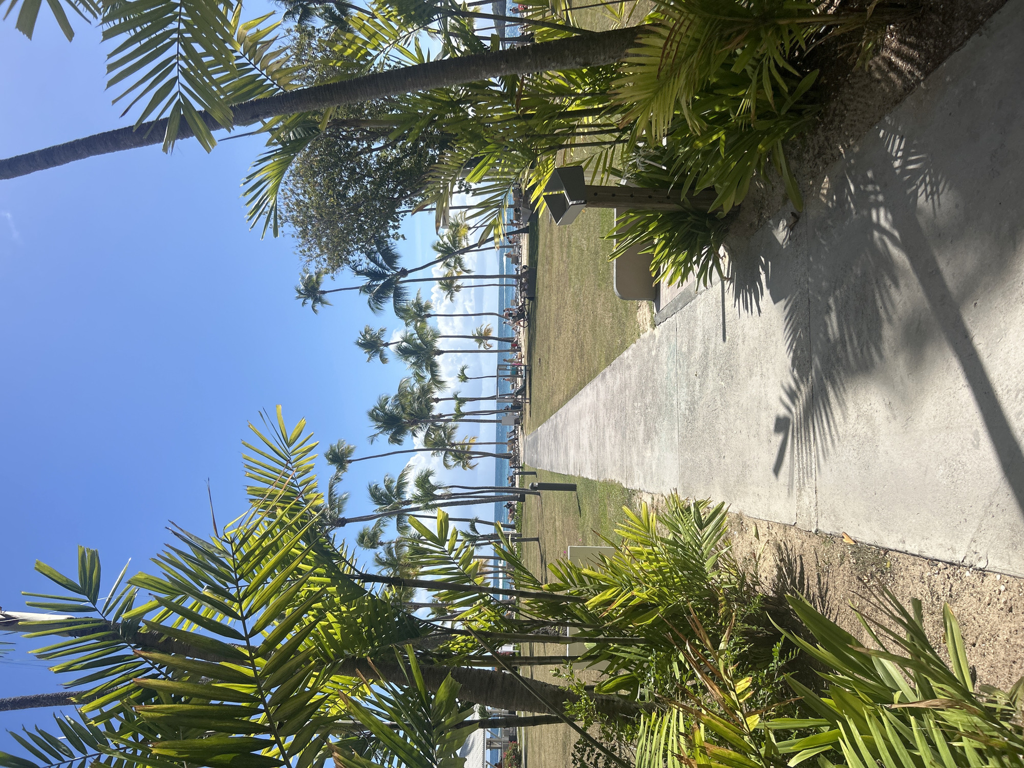 The image displays a concrete pathway extending towards a beachfront in Sainte-Anne, France, under bright sunlight. The pathway, approximately 1.5 meters wide, is flanked by manicured green grass and dense tropical vegetation, including numerous palm trees and smaller leafy plants. Pronounced shadows of palm fronds are cast upon the pathway. On the right, several dark grey bollard-style lights are spaced along the path, and a dark, open-topped receptacle is partially visible behind foliage. In the midground, a white building with a dark roof is partially visible to the left. Beyond the lawn, a sandy beach hosts approximately 15-20 individuals, indistinct in detail, some seated on loungers and others standing or walking near the water's edge. The ocean appears turquoise and light blue, meeting a clear, bright blue sky with sparse white clouds. The environment presents as a tropical resort or public beach area.