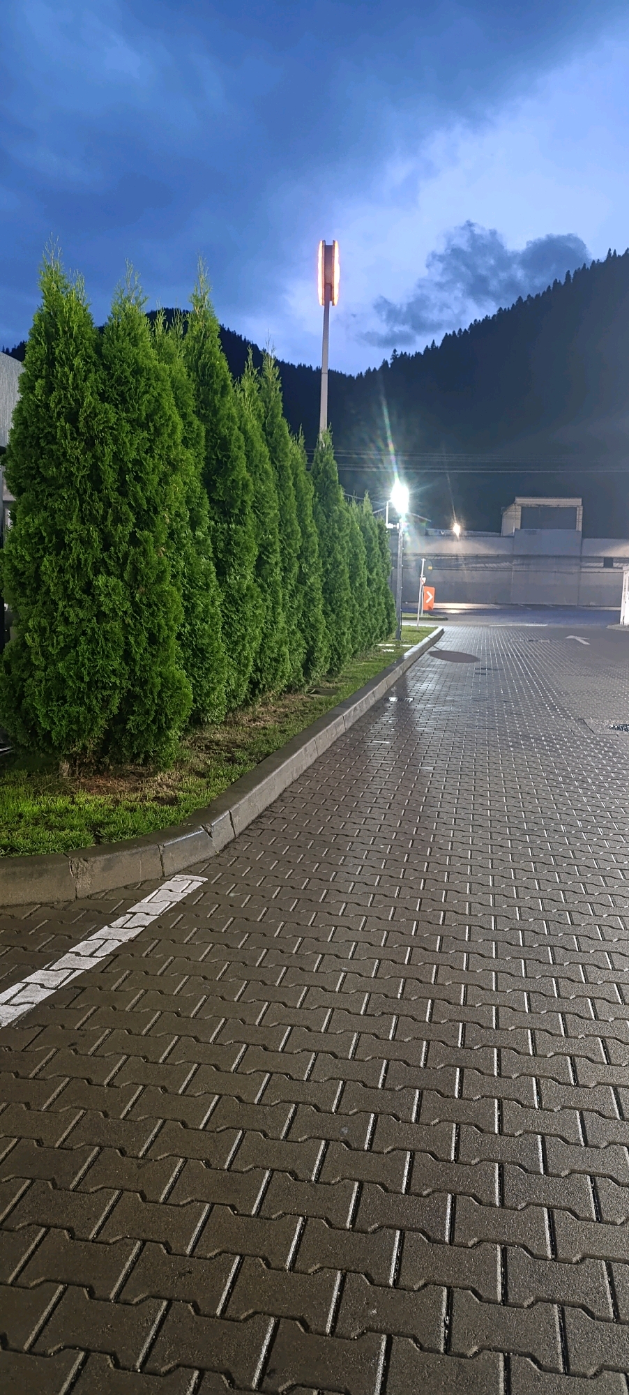 A line of green cypress trees is situated alongside a wet, grey paved area that appears to be a parking lot or walkway. The paving stones are interlocking and have a reflective quality, indicating recent rainfall. A white line is painted on the paving stones at the edge of the walkway, next to a concrete curb. Beyond the trees, a dark mountain range covered in trees is visible against a twilight sky with scattered clouds. A street lamp with a glowing orange light stands near the center of the image, casting a warm illumination. In the background, there are low-lying buildings and more streetlights. The scene suggests an outdoor location at dusk or early evening. The location is identified as Câmpulung Moldovenesc, Romania. There are no people or animals visible in the image.