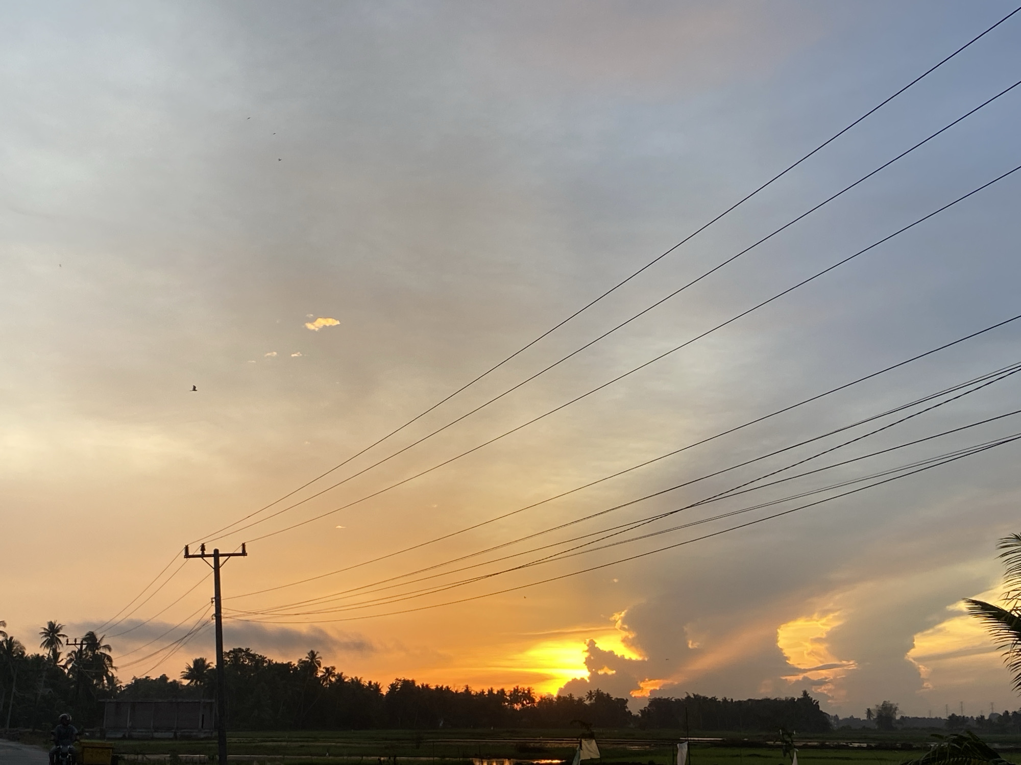 The image depicts a sunset over a rural landscape in Keutapang, Indonesia. The sky is a vibrant mix of orange, yellow, and gray, with dramatic clouds illuminated by the setting sun. Power lines crisscross the frame, silhouetted against the colorful sky. In the foreground, a single utility pole stands prominently. To the left, a person is riding a motorcycle on a road. The background features a dense line of trees, including palm trees, and a flat, green landscape that appears to be fields. There are also some distant structures, possibly buildings or more utility poles. The scene conveys a sense of tranquility and natural beauty.