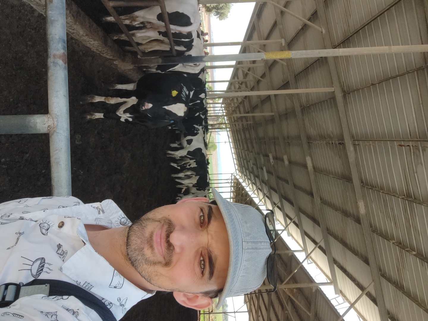 In Yoav Regional Council, Israel, a man wearing a light blue denim cap and a white patterned shirt is taking a selfie in a cow farm. The man has short brown hair and a light beard. He is smiling and looking at the camera. Behind him, a herd of black and white cows are standing in a muddy enclosure, under a large metal roof supported by poles. The scene suggests a warm, sunny day.