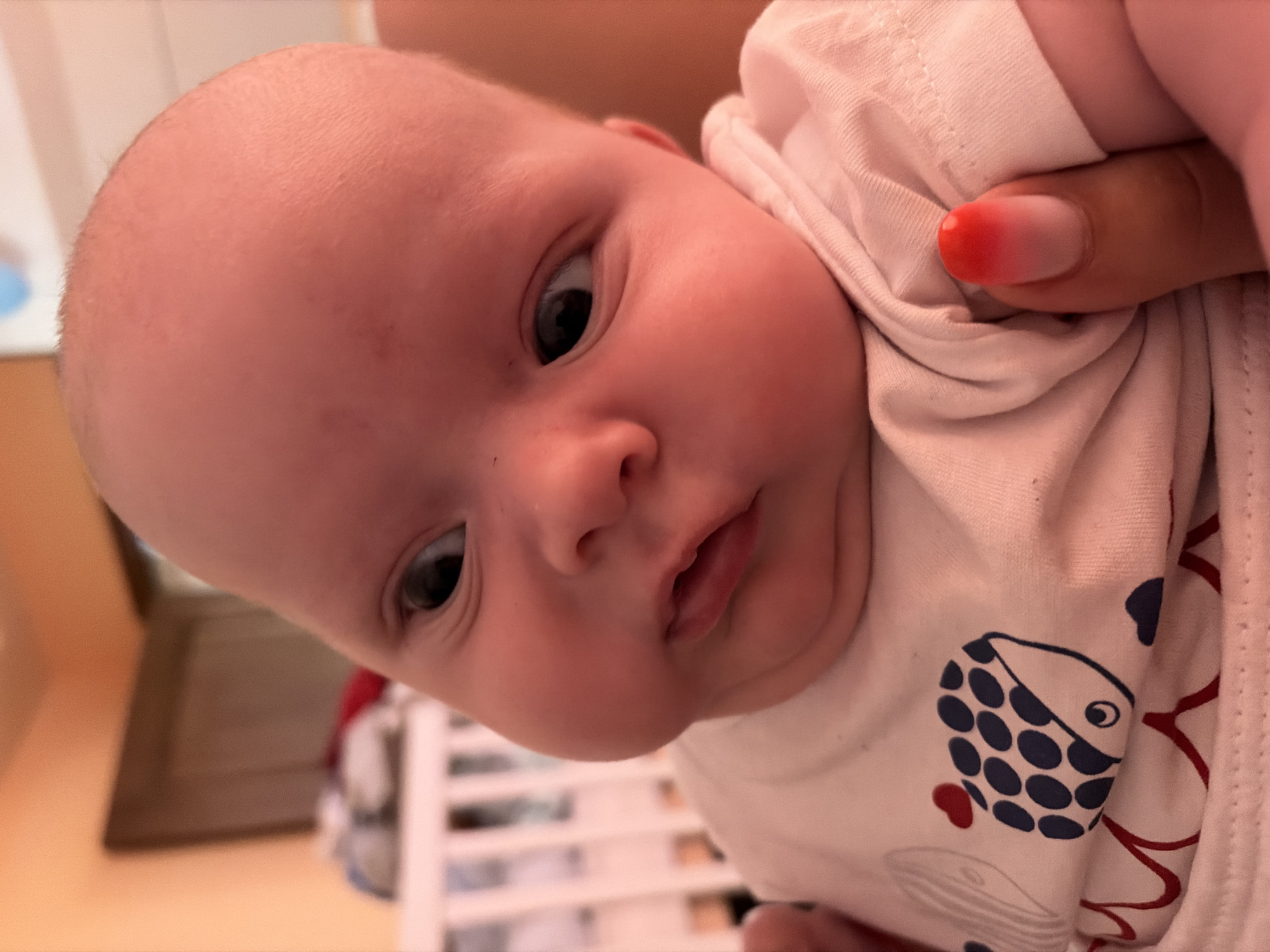 This close-up portrait features an infant held by an adult in an indoor setting, likely a home or nursery in Yambol, Bulgaria. The baby is positioned centrally, looking directly towards the camera with wide, dark eyes. They have light skin, full cheeks, and a small amount of fine hair.
The infant is wearing a light-colored, possibly white, t-shirt with a patterned design. A notable detail on the clothing is a blue stylized fish with black spots, outlined in white, and a small red, heart-like fin, accompanied by other red, wavy motifs.
An adult's hand, likely belonging to the person holding the baby, is visible on the right side of the frame, holding onto the baby's clothing. The adult's thumb sports a manicure with a distinctive ombre style, transitioning from a bright red at the tip to a lighter, natural tone closer to the nail bed.
The background is softly blurred, suggesting a shallow depth of field, which emphasizes the baby. Vague shapes in the background suggest domestic items such as part of a white crib or cot railing on the lower right and indistinct furniture further back. The lighting appears soft and even, typical of an indoor environment. The baby's expression is one of calm curiosity, and the overall impression of the image is tender and intimate. There is no visible text in the image.
