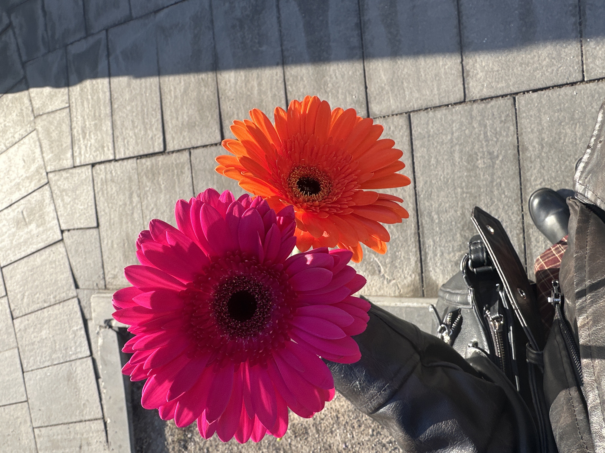 The image shows two gerbera daisies, one pink and one orange, lying on a paved surface. To the right of the flowers is a leather jacket and a purse. The pavement appears to be composed of rectangular blocks arranged in a curved pattern. A shadow falls across the pavement in the upper left corner. The location is unspecified and cannot be identified from the provided image.