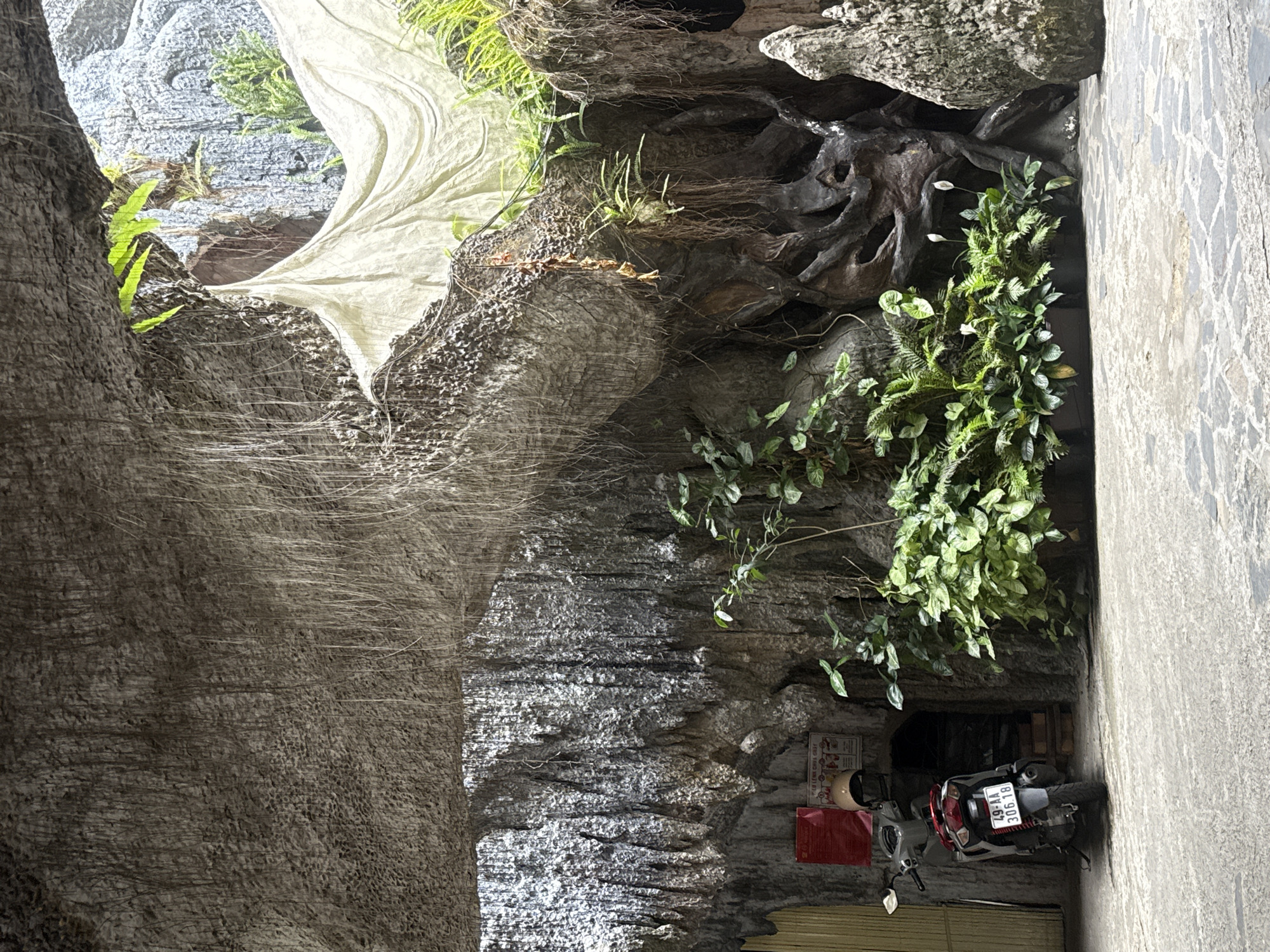 The image shows a scooter parked on a paved ground in front of a cave-like structure with a rocky facade. Hanging vines and moss create a naturalistic, overgrown ambiance. The cave entrance appears to be a dark opening with a few steps leading inside. A red sign is attached to the wall near the entrance, and a helmet rests on a ledge above it. Lush green plants are arranged in pots along the base of the rocky structure. In the background, a large, gnarled tree trunk and more rock formations are visible, along with a piece of draped white fabric. The scene is likely a tourist attraction or a unique architectural feature within Da Lat, Vietnam, known for its natural beauty and caves.