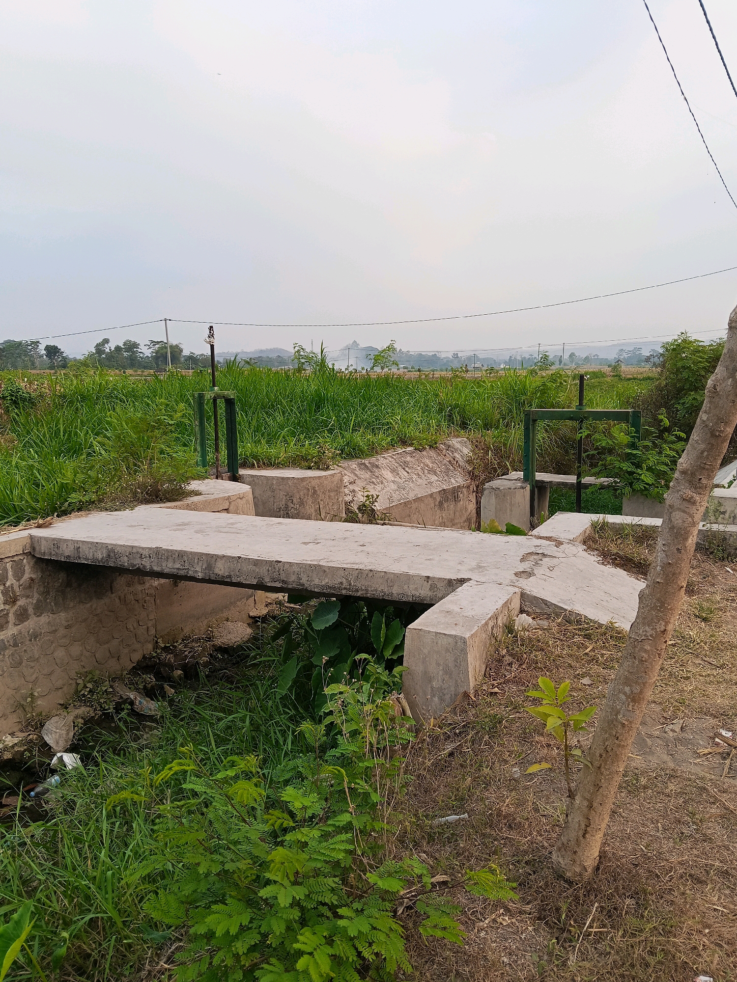 This image depicts a concrete sluice gate structure situated in a rural area of Gaprang, Indonesia. The sluice gate, a common agricultural infrastructure, controls water flow within a channel. The surrounding environment is lush with green vegetation, characteristic of agricultural land. In the background, distant hills and trees can be observed, suggesting a landscape of fields and possibly villages. The sky is overcast, indicating a cloudy day. The scene appears tranquil, with no visible human activity. The presence of the sluice gate and the surrounding greenery points to the region's reliance on irrigation for its crops.