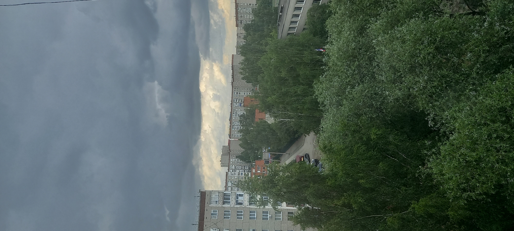 The image depicts an overcast sky over a residential area in Izhevsk, Russia. In the foreground, dense green foliage from trees dominates the lower half of the frame. Behind the trees, a row of apartment buildings, characterized by their concrete facades and repetitive window patterns, stretches across the middle ground. A street with a few parked cars is visible between the buildings and the trees. Further in the background, more apartment buildings of similar architectural style are apparent, receding into the distance. The sky is filled with dark, heavy clouds, suggesting impending rain or stormy weather. A flag is visible on a flagpole in front of one of the buildings in the middle ground. The scene appears to be a typical urban landscape under a gloomy sky.