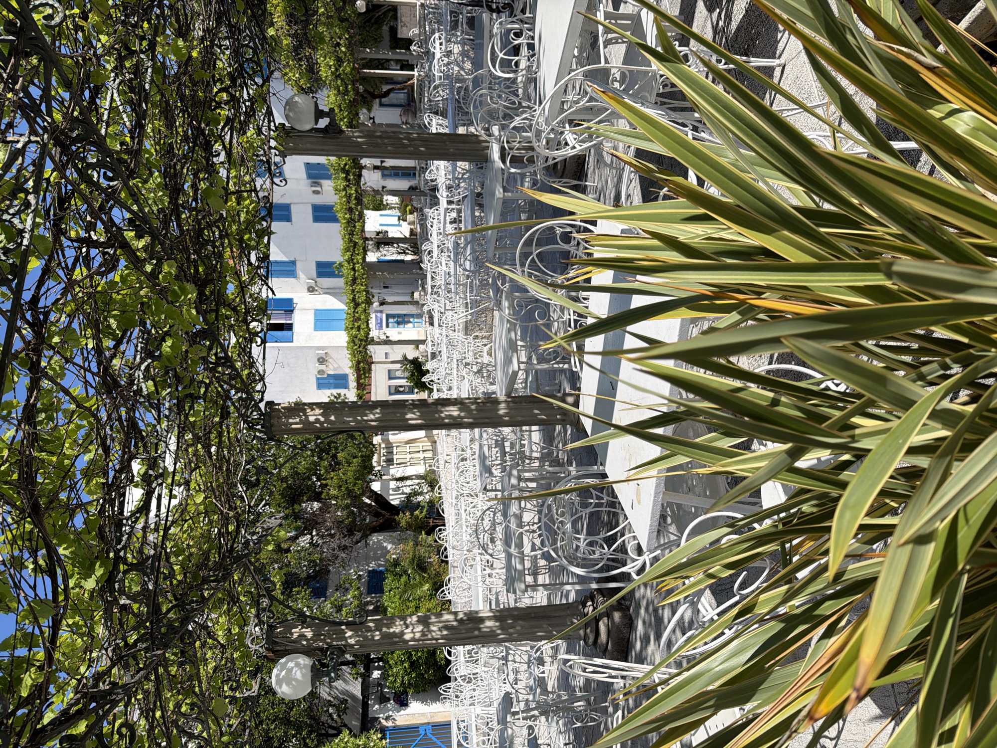 The image shows an outdoor dining area in Budva, Montenegro. The area is furnished with numerous white tables and wrought-iron chairs, arranged under a pergola covered with vines. Decorative light fixtures hang from the pergola. In the background, a multi-story building with white walls and blue window shutters is visible. In the foreground, long, variegated green and yellow leaves of a plant obscure part of the view. The area appears to be deserted.