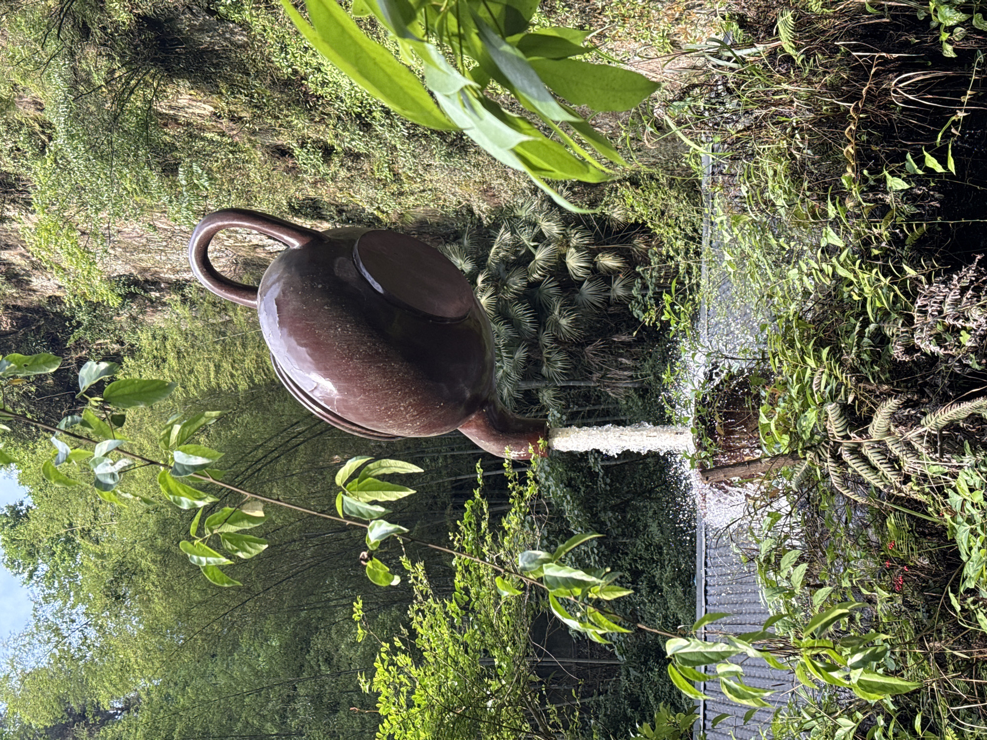 A large brown teapot sculpture, likely made of ceramic or a similar material, is positioned in a lush, green, outdoor environment. Water is flowing from the spout of the teapot, creating a small waterfall. The surrounding vegetation is dense and diverse, including ferns, various green plants with broad leaves, bamboo, and other unidentified foliage. The background suggests a wooded area or forest. The location is likely in Wulingyuan, China. A corrugated metal surface is partially visible beneath the waterfall, indicating a possible man-made structure or feature. The image is taken from a slightly low angle, looking up at the teapot. Branches and leaves are framing the upper portion of the shot.