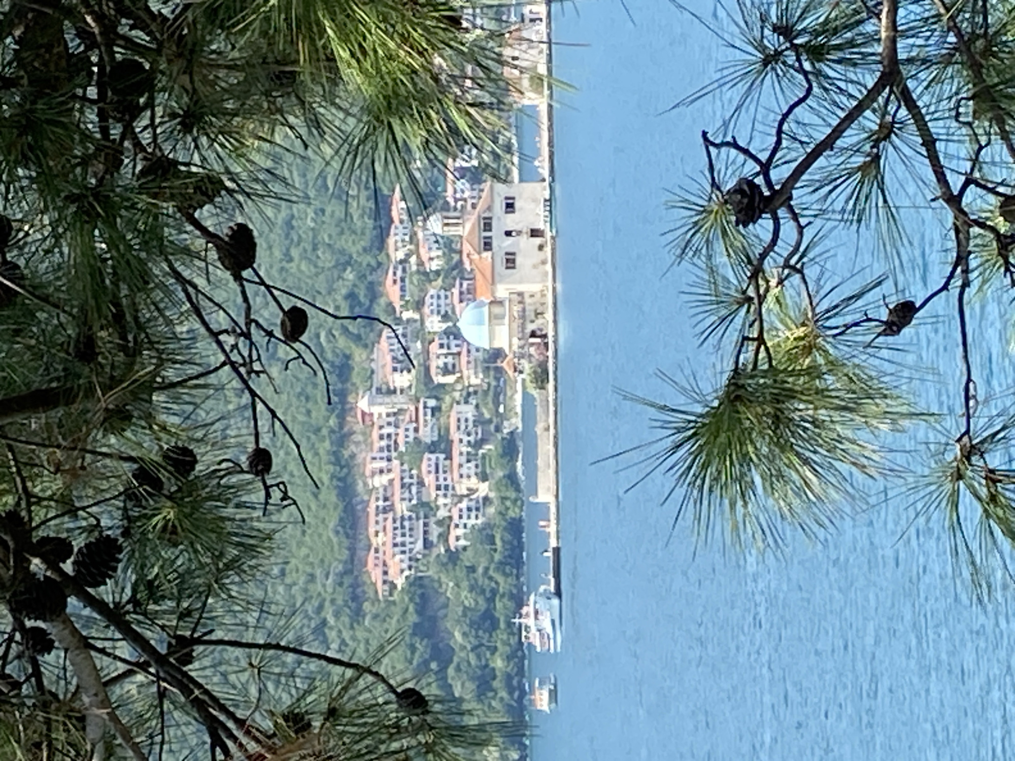 The image depicts a view of the Bay of Kotor, with a foreground of pine tree branches and cones framing a scene of the town of Perast, Montenegro. In the middle ground, two boats are visible on the bright blue water. To the right of the boats, on a small island, is the Church of Our Lady of the Rocks. This church features a distinctive blue dome and a cream-colored building. Behind the island and the church, the hillside town of Perast rises, characterized by its red-tiled roofs and whitewashed buildings. The overall environment is a tranquil coastal landscape under a clear sky.