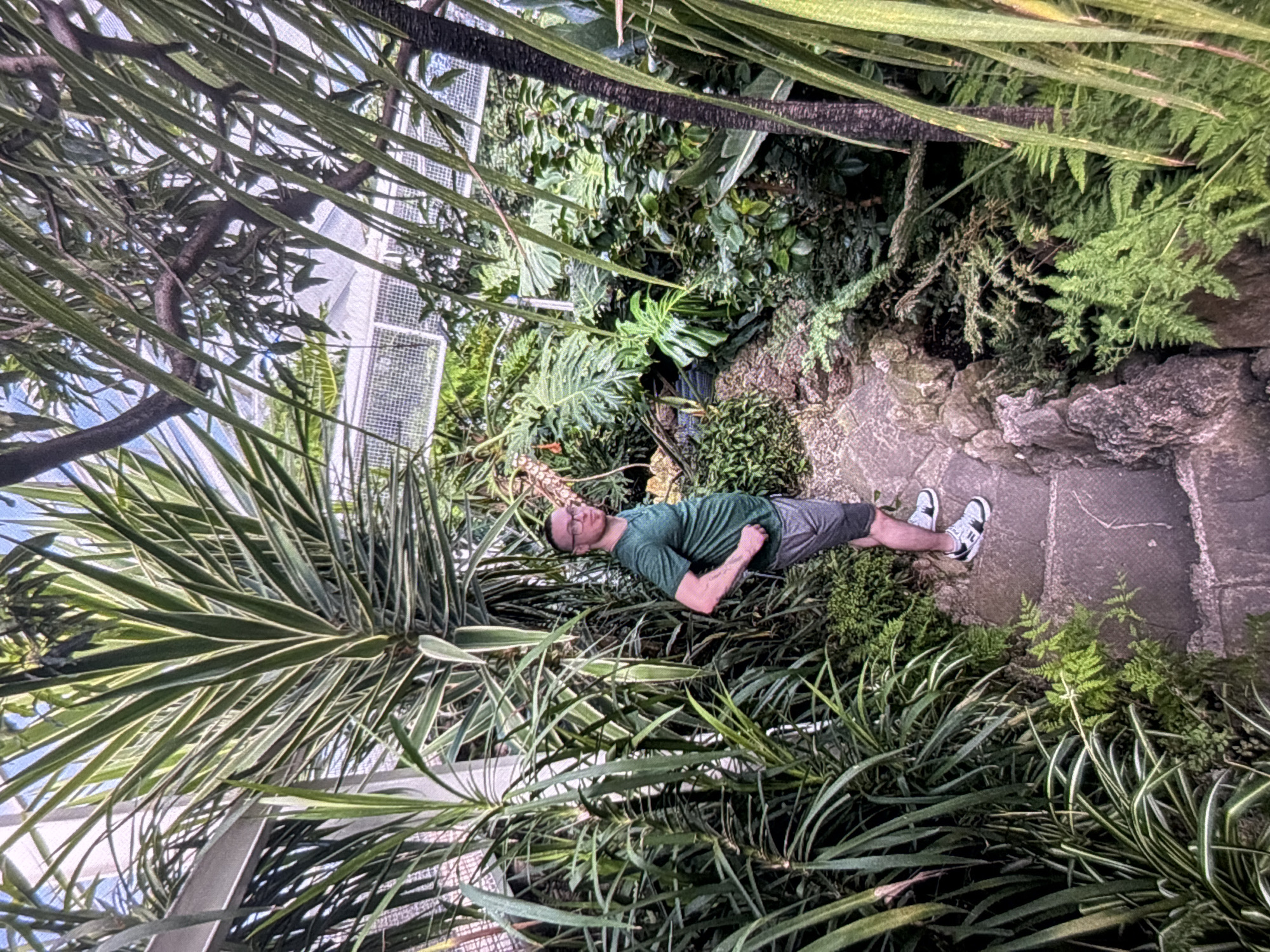 A person stands on a stone pathway surrounded by lush, tropical vegetation inside a greenhouse. The person, a man with glasses, wears a green t-shirt and grey shorts, with hands on his hips. The pathway is made of rough-hewn stones and is bordered by various plants, including tall, spiky leaves and smaller ferns. The greenhouse structure is visible overhead with a translucent roof. The overall impression is one of a vibrant, enclosed botanical garden. The location is identified as the City Park in Radomsko, Poland.
